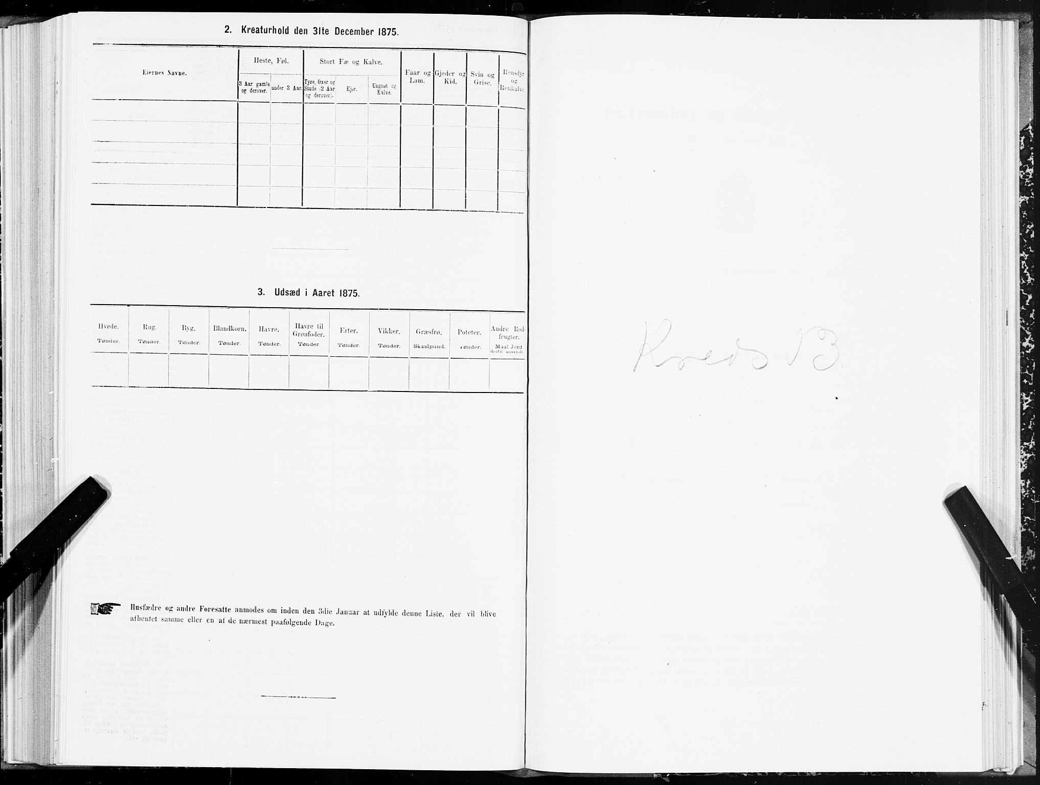 SAT, 1875 census for 1702B Steinkjer/Steinkjer, 1875