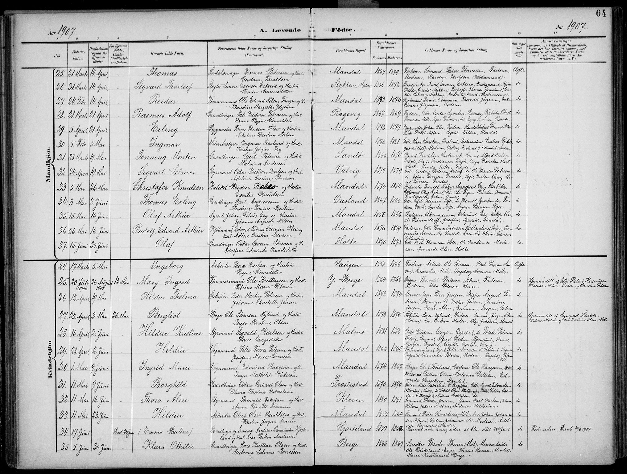 Mandal sokneprestkontor, AV/SAK-1111-0030/F/Fb/Fba/L0012: Parish register (copy) no. B 6, 1899-1918, p. 64