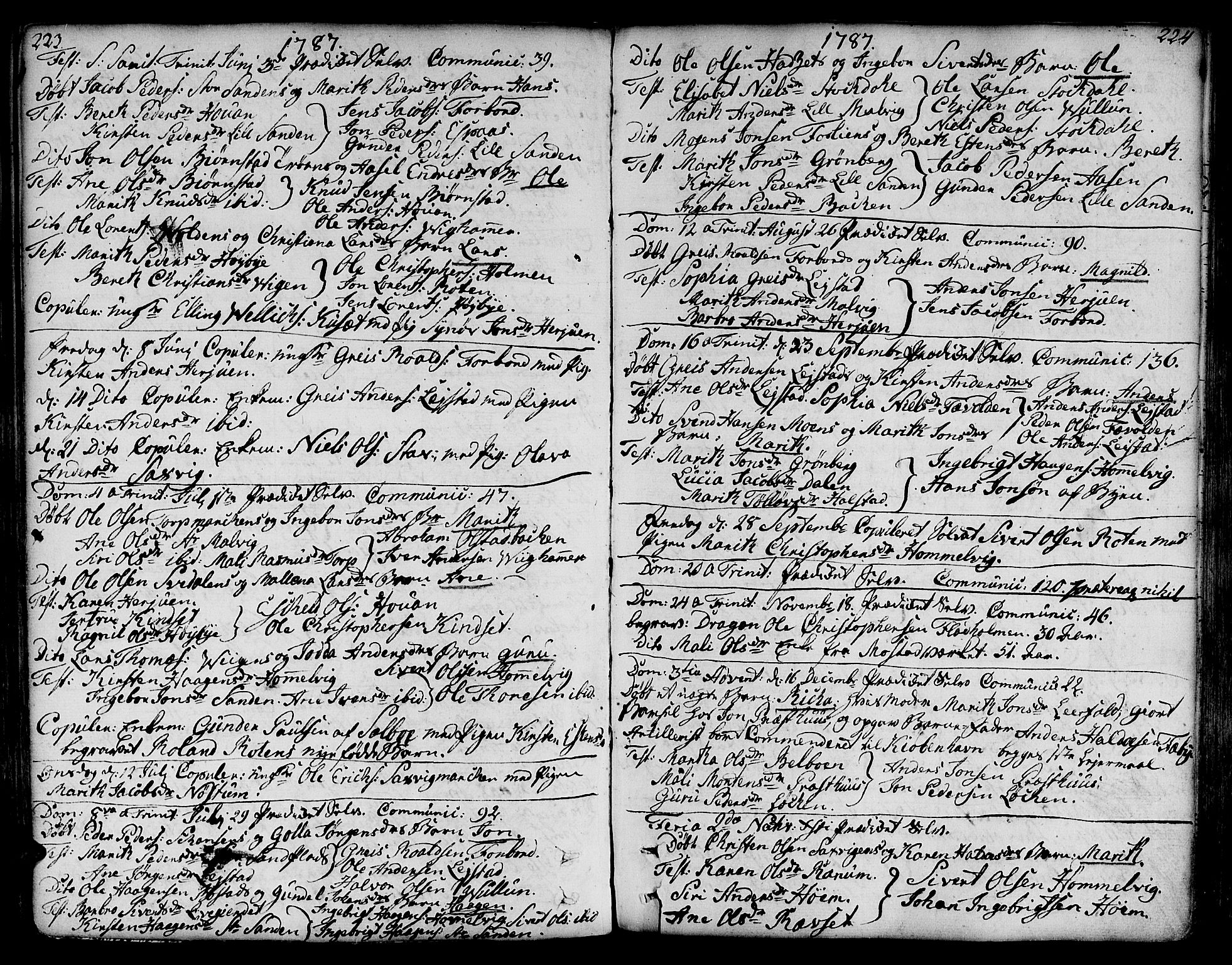 Ministerialprotokoller, klokkerbøker og fødselsregistre - Sør-Trøndelag, SAT/A-1456/606/L0281: Parish register (official) no. 606A02 /2, 1781-1817, p. 223-224