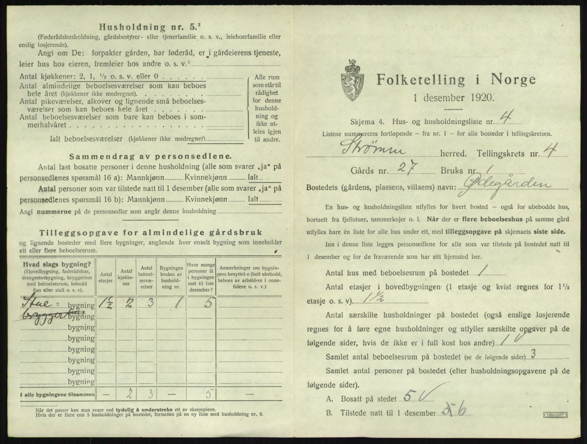 SAKO, 1920 census for Strømm, 1920, p. 437