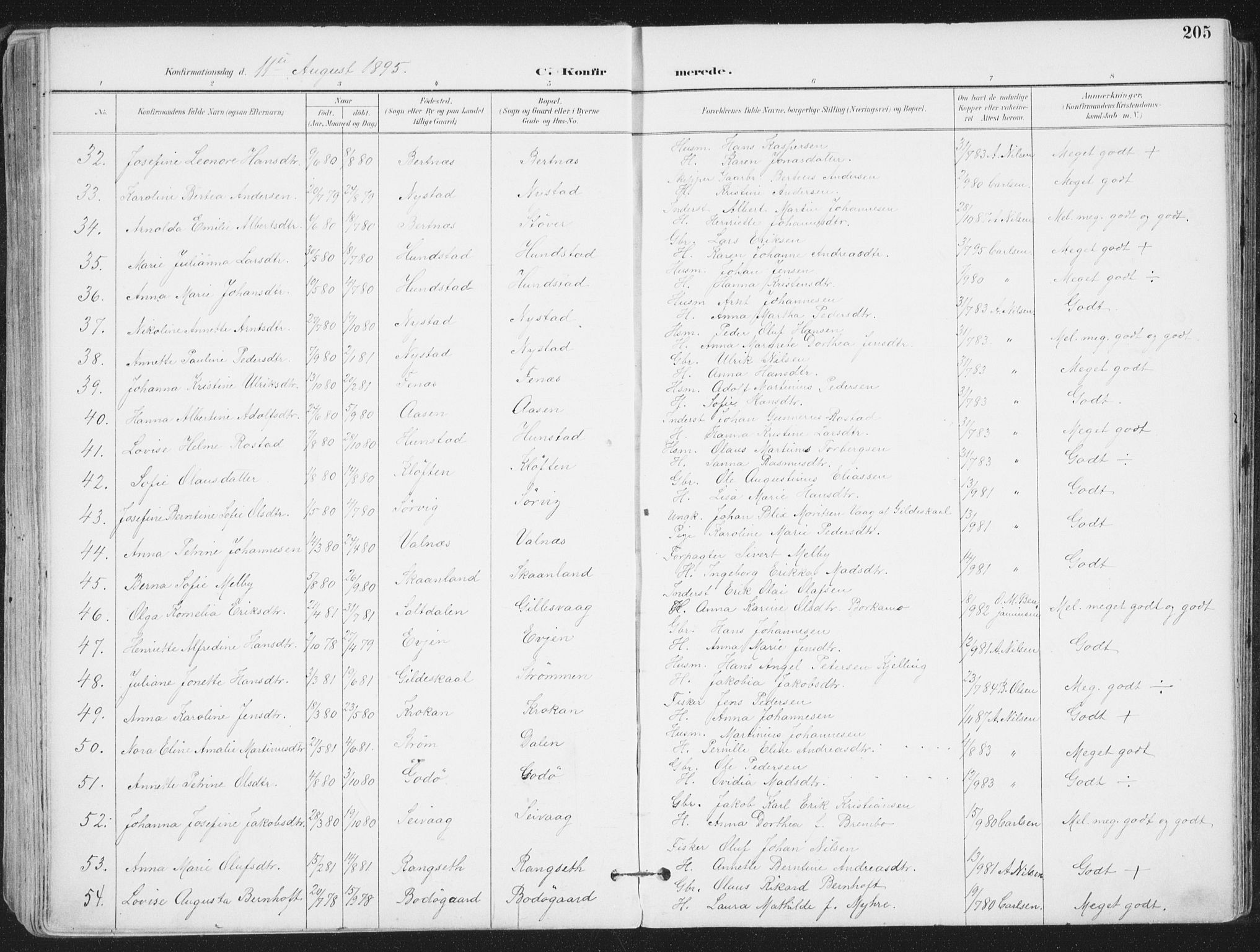 Ministerialprotokoller, klokkerbøker og fødselsregistre - Nordland, AV/SAT-A-1459/802/L0055: Parish register (official) no. 802A02, 1894-1915, p. 205