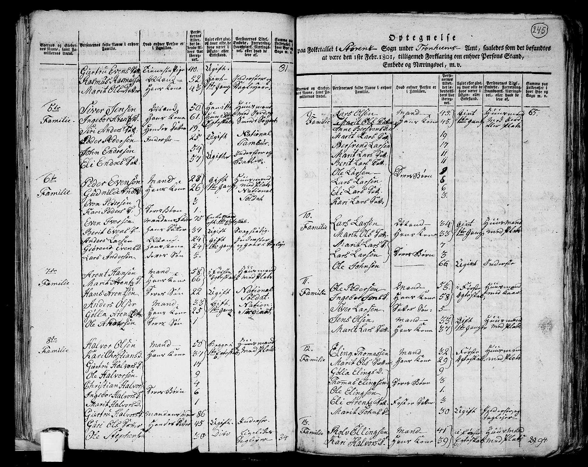 RA, 1801 census for 1648P Støren, 1801, p. 244b-245a