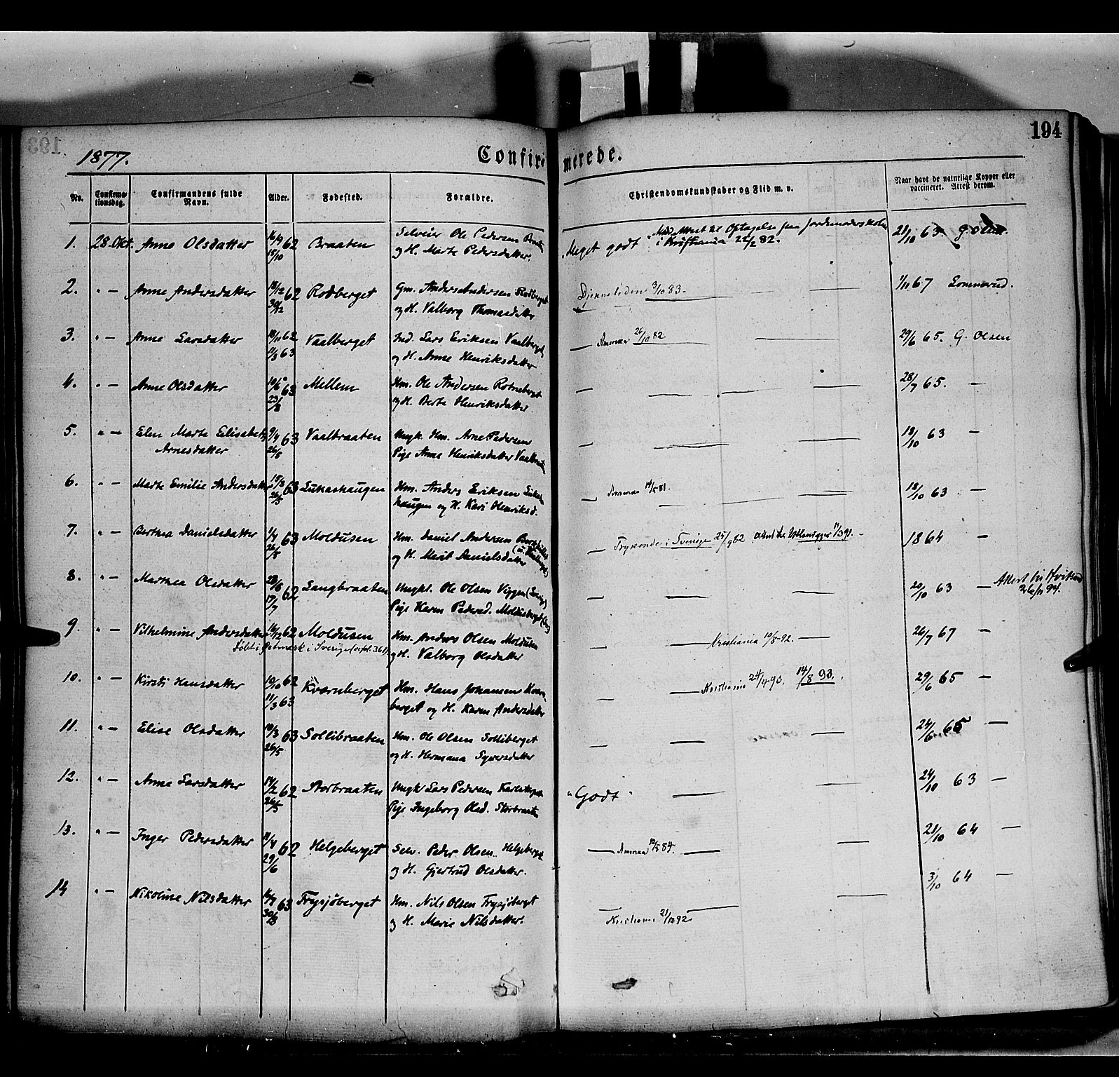 Grue prestekontor, AV/SAH-PREST-036/H/Ha/Haa/L0011: Parish register (official) no. 11, 1873-1880, p. 194