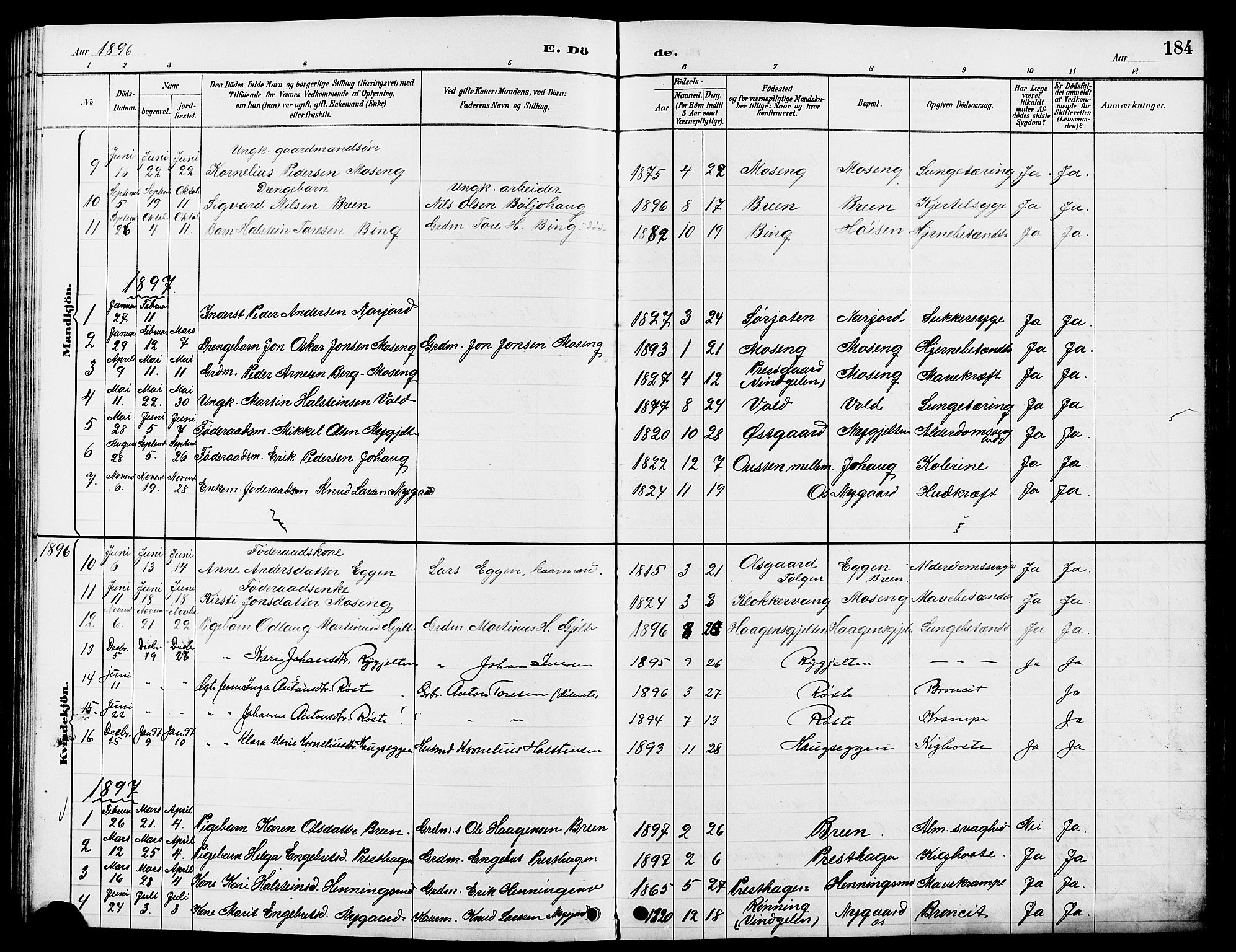 Tolga prestekontor, AV/SAH-PREST-062/L/L0008: Parish register (copy) no. 8, 1887-1912, p. 184