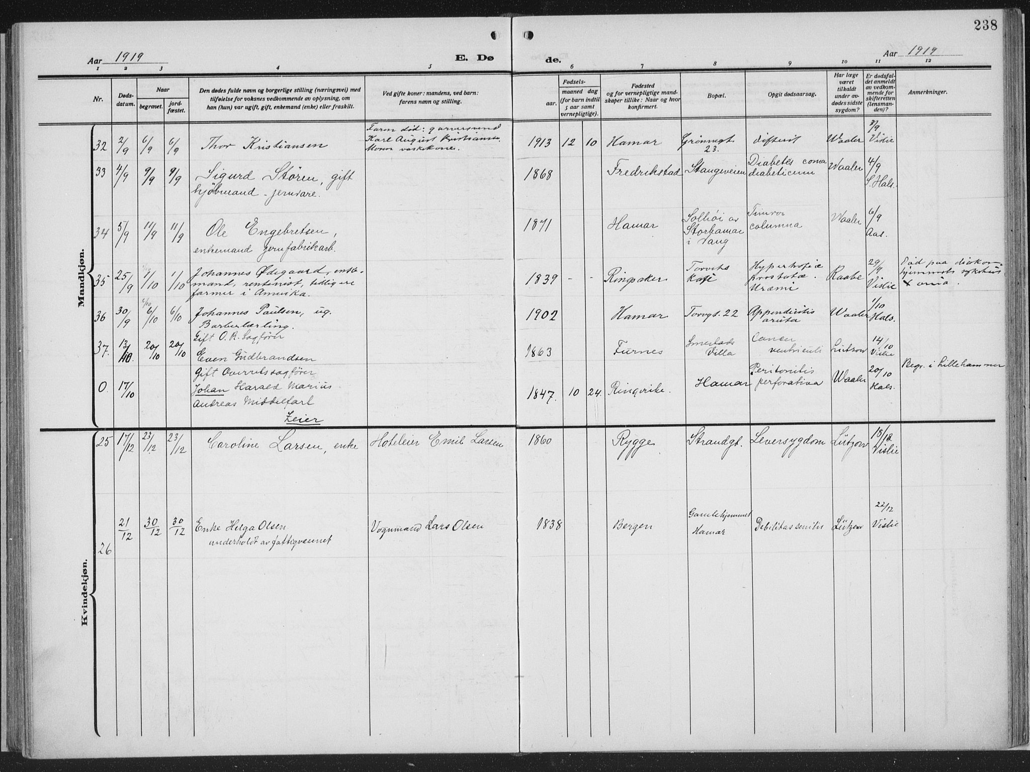 Hamar prestekontor, AV/SAH-DOMPH-002/H/Ha/Haa/L0002: Parish register (official) no. 2, 1915-1936, p. 238