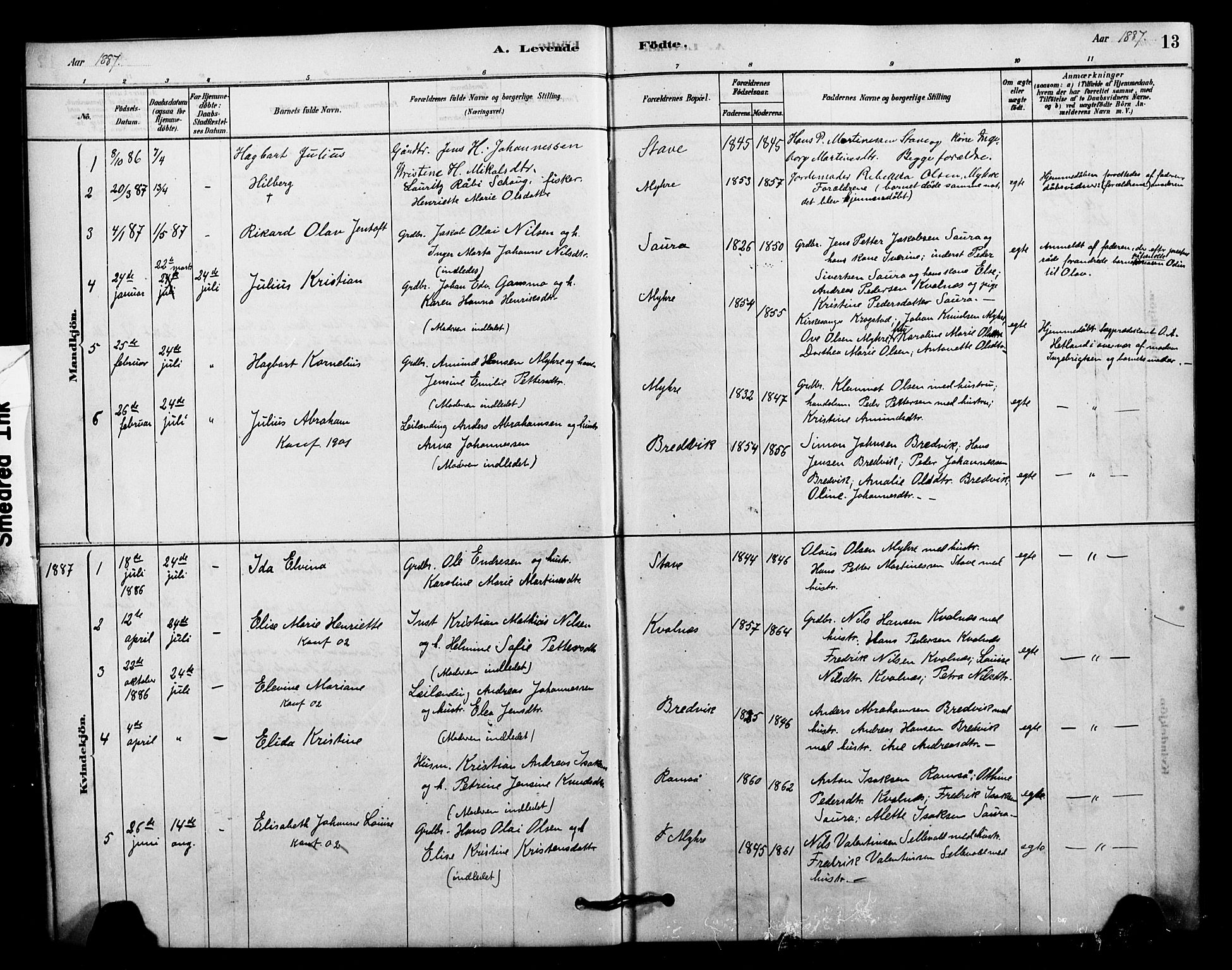 Ministerialprotokoller, klokkerbøker og fødselsregistre - Nordland, AV/SAT-A-1459/897/L1399: Parish register (official) no. 897C06, 1881-1896, p. 13