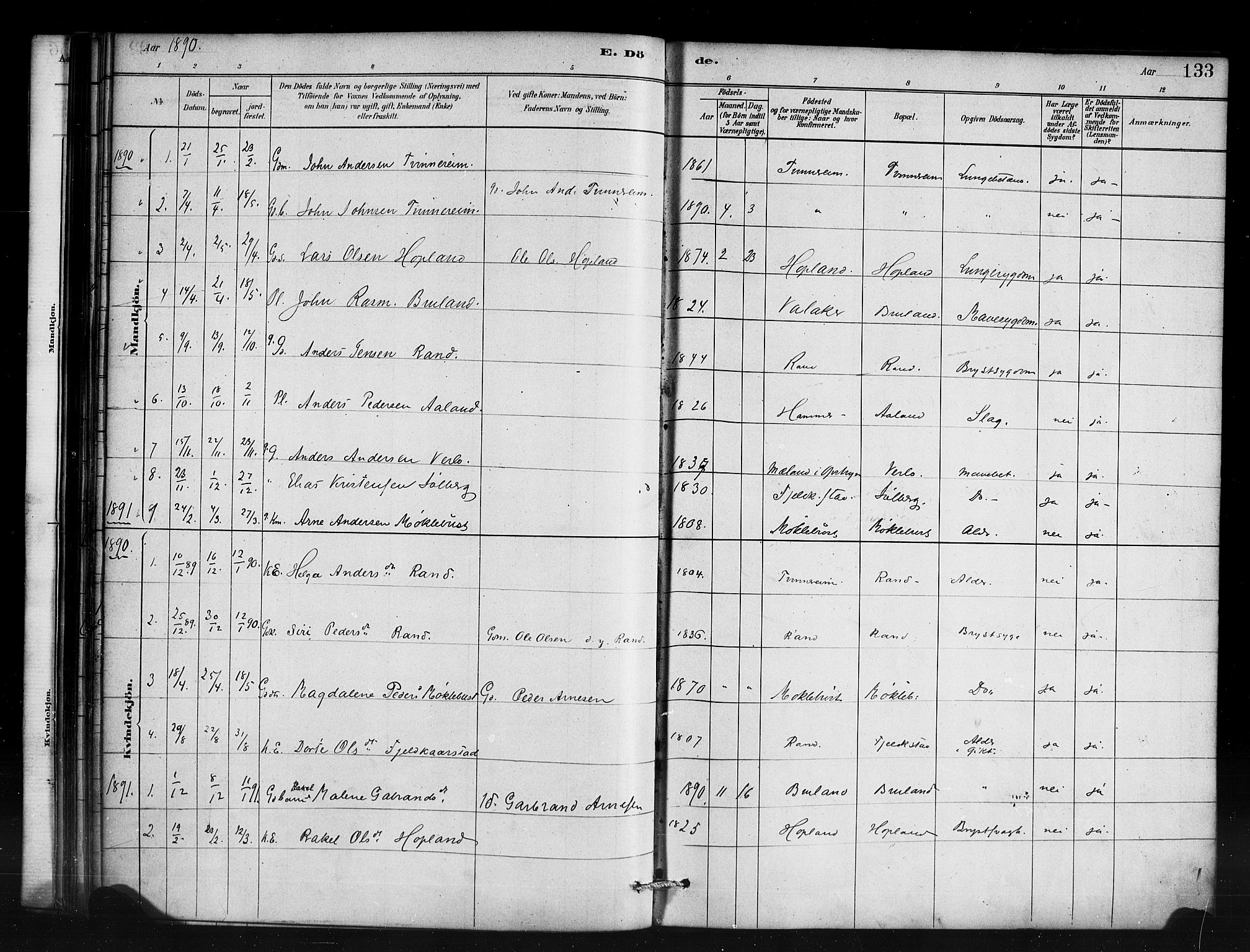 Innvik sokneprestembete, AV/SAB-A-80501: Parish register (official) no. D 1, 1879-1900, p. 133