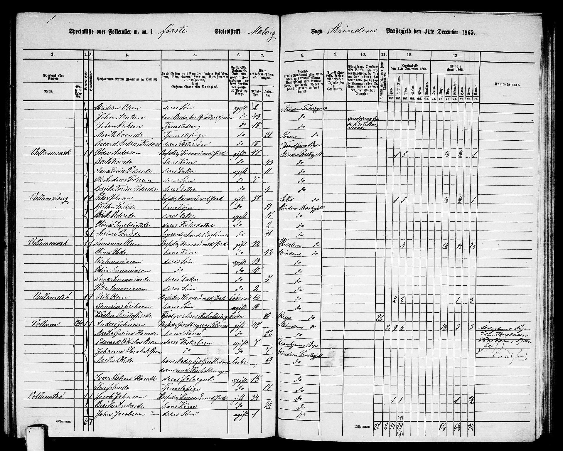 RA, 1865 census for Strinda, 1865, p. 207