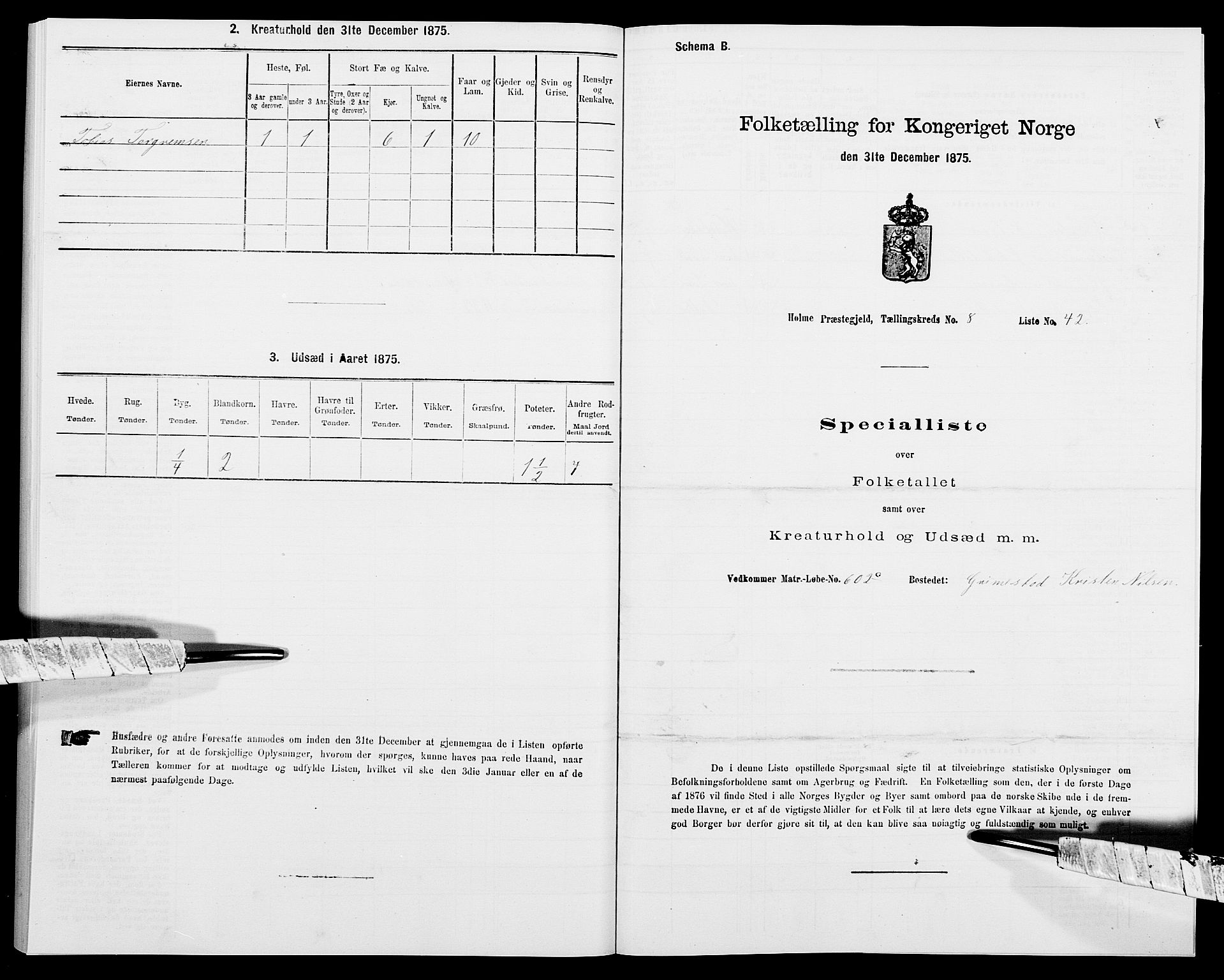 SAK, 1875 census for 1020P Holum, 1875, p. 951