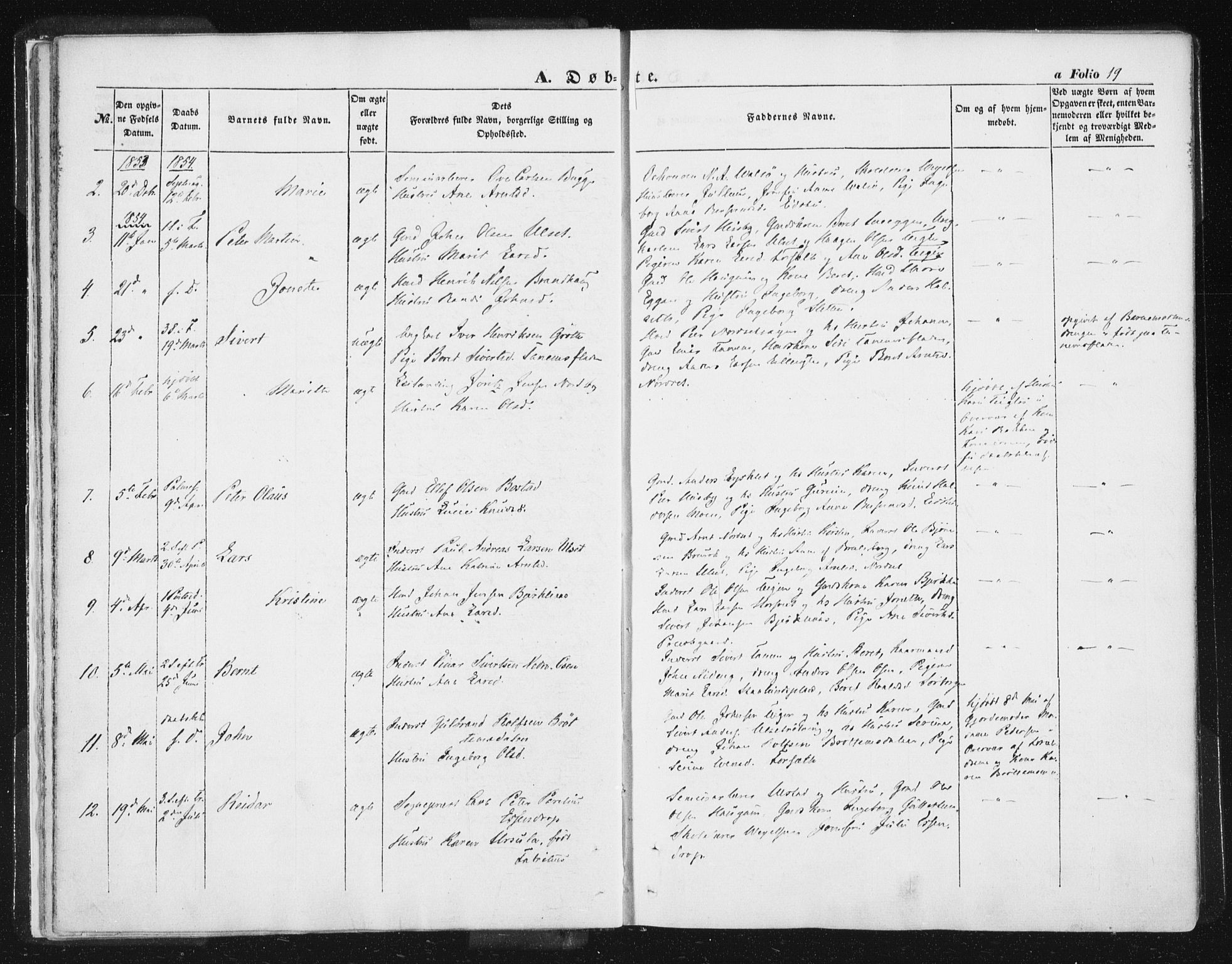 Ministerialprotokoller, klokkerbøker og fødselsregistre - Sør-Trøndelag, SAT/A-1456/618/L0441: Parish register (official) no. 618A05, 1843-1862, p. 19