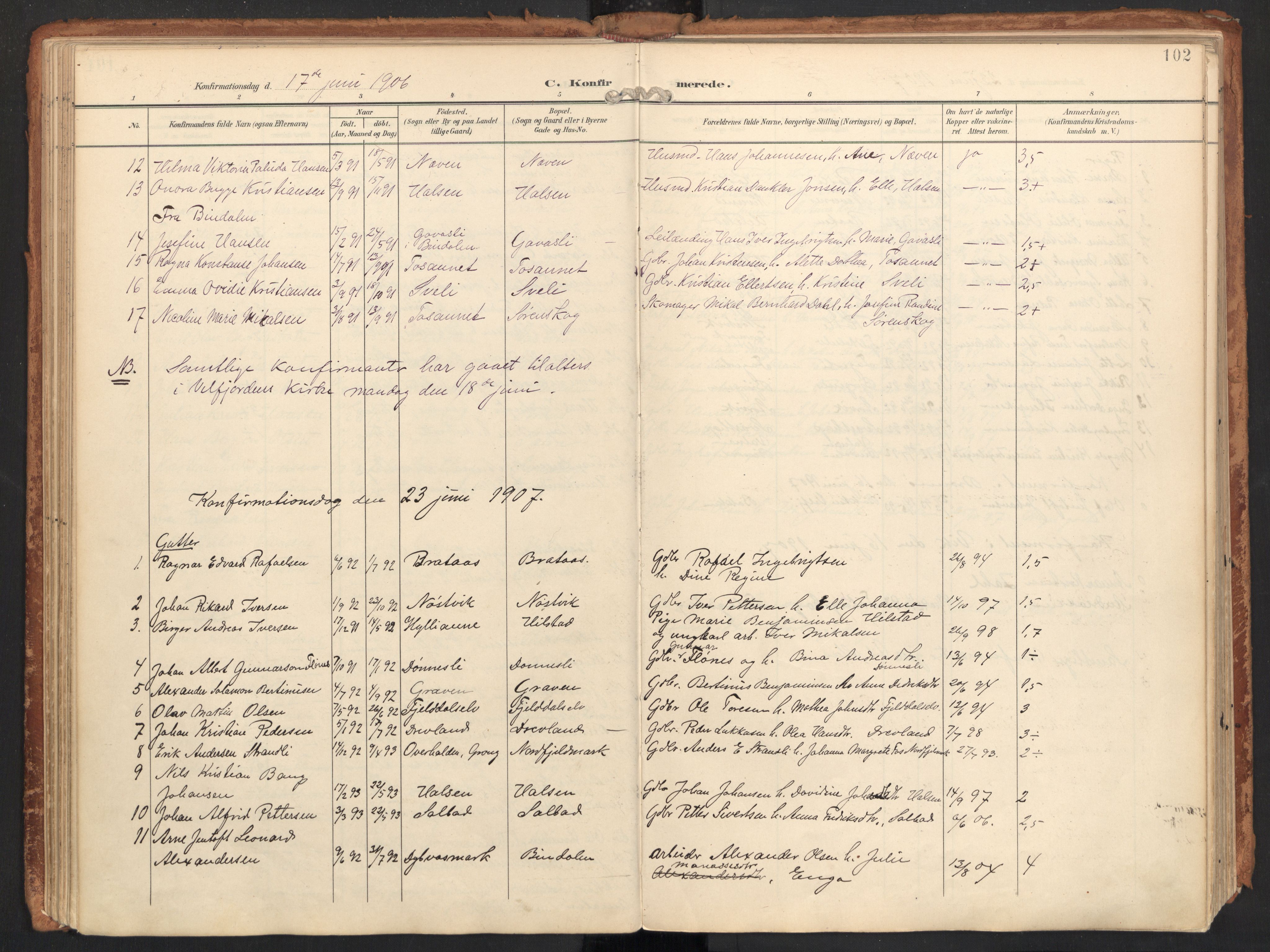 Ministerialprotokoller, klokkerbøker og fødselsregistre - Nordland, SAT/A-1459/814/L0227: Parish register (official) no. 814A08, 1899-1920, p. 102