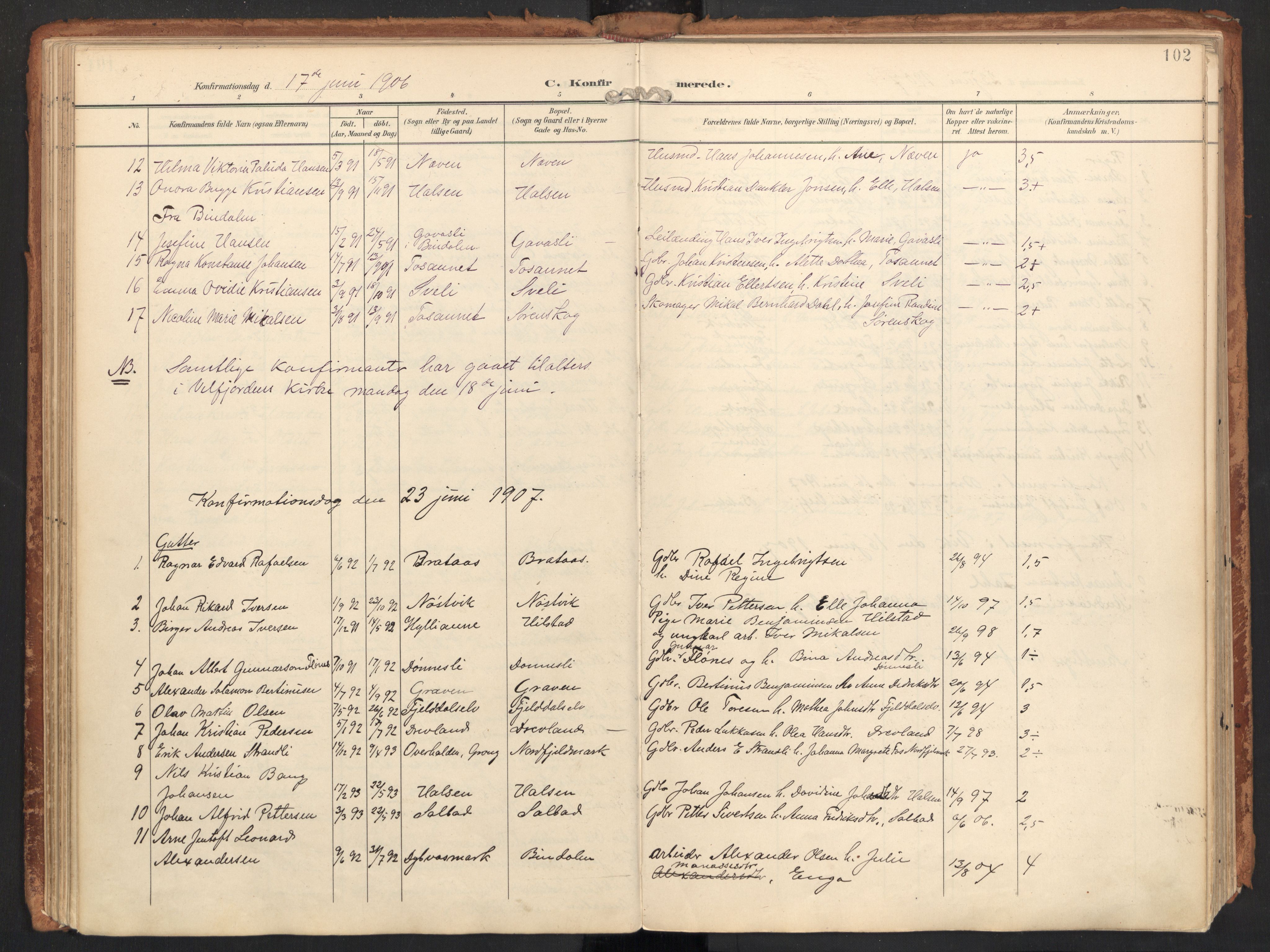 Ministerialprotokoller, klokkerbøker og fødselsregistre - Nordland, AV/SAT-A-1459/814/L0227: Parish register (official) no. 814A08, 1899-1920, p. 102