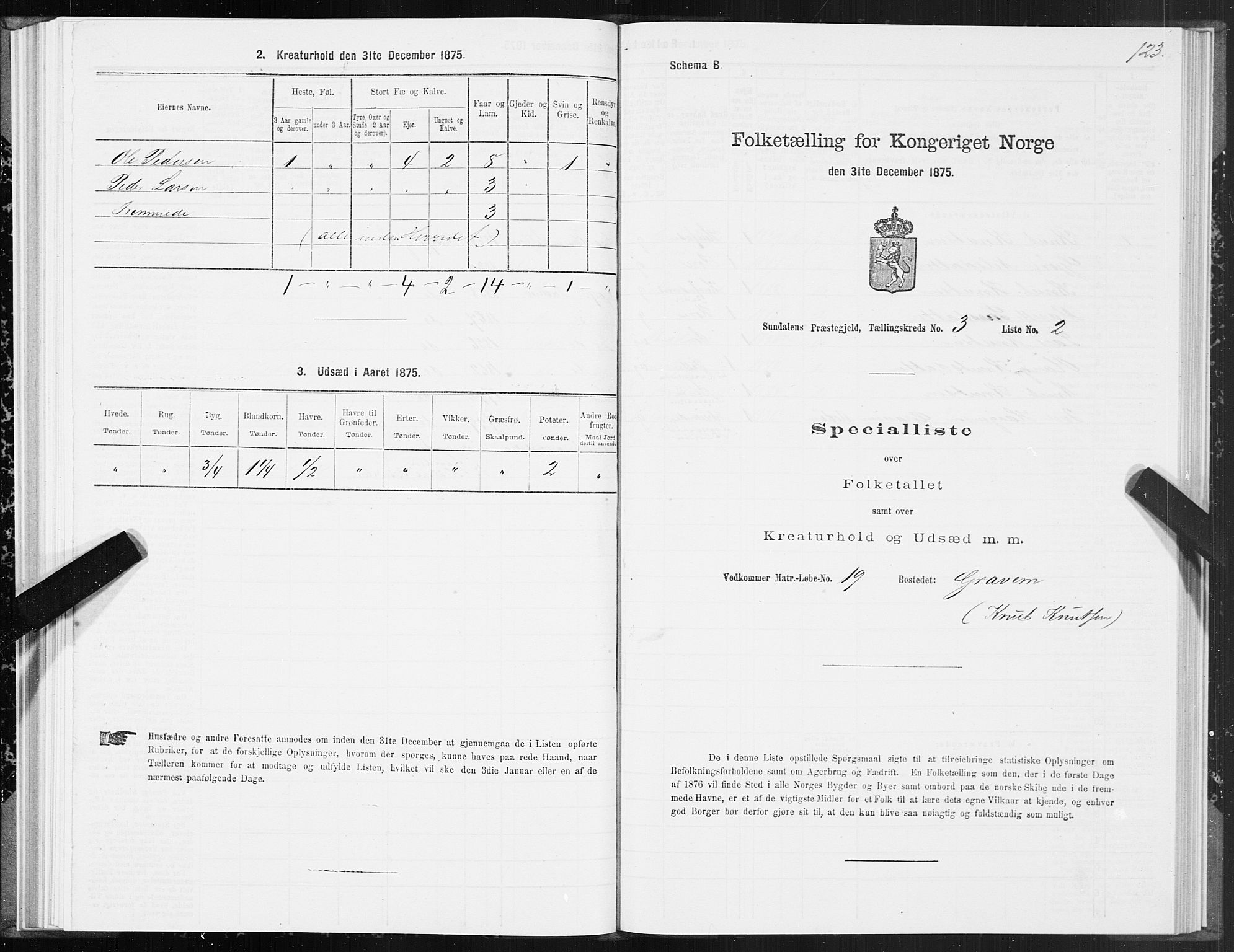 SAT, 1875 census for 1563P Sunndal, 1875, p. 1123