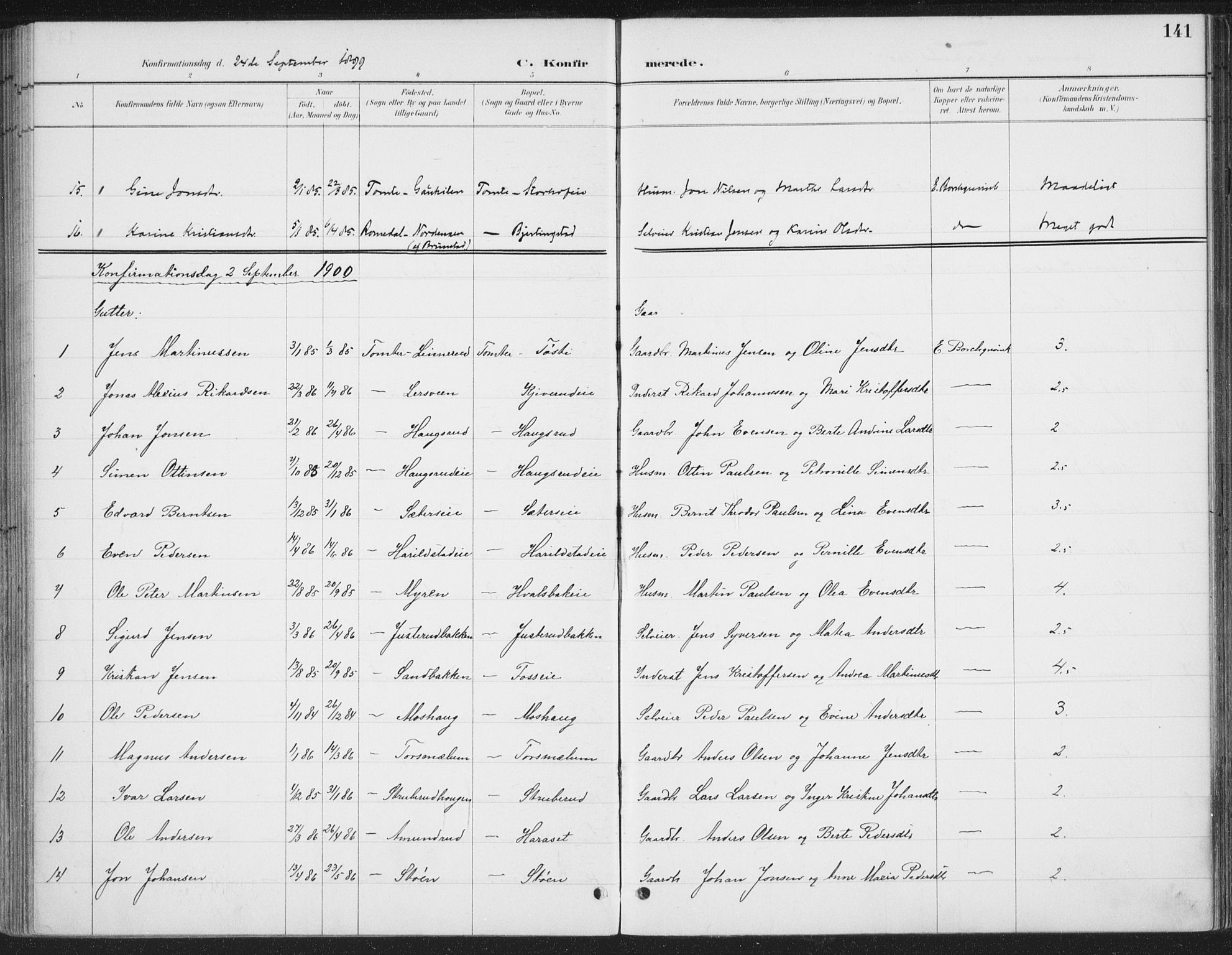 Romedal prestekontor, SAH/PREST-004/K/L0008: Parish register (official) no. 8, 1887-1905, p. 141