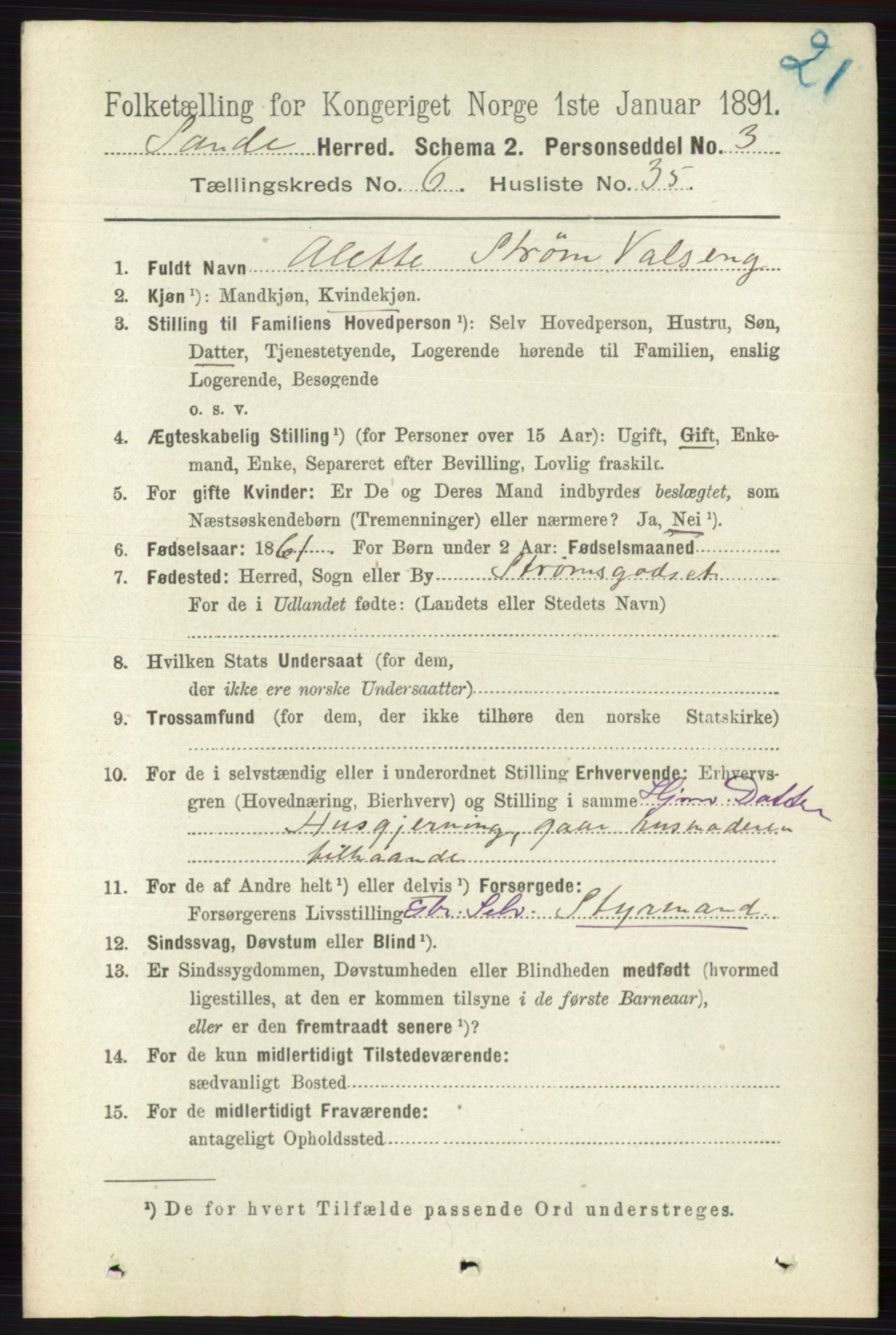 RA, 1891 census for 0713 Sande, 1891, p. 2883
