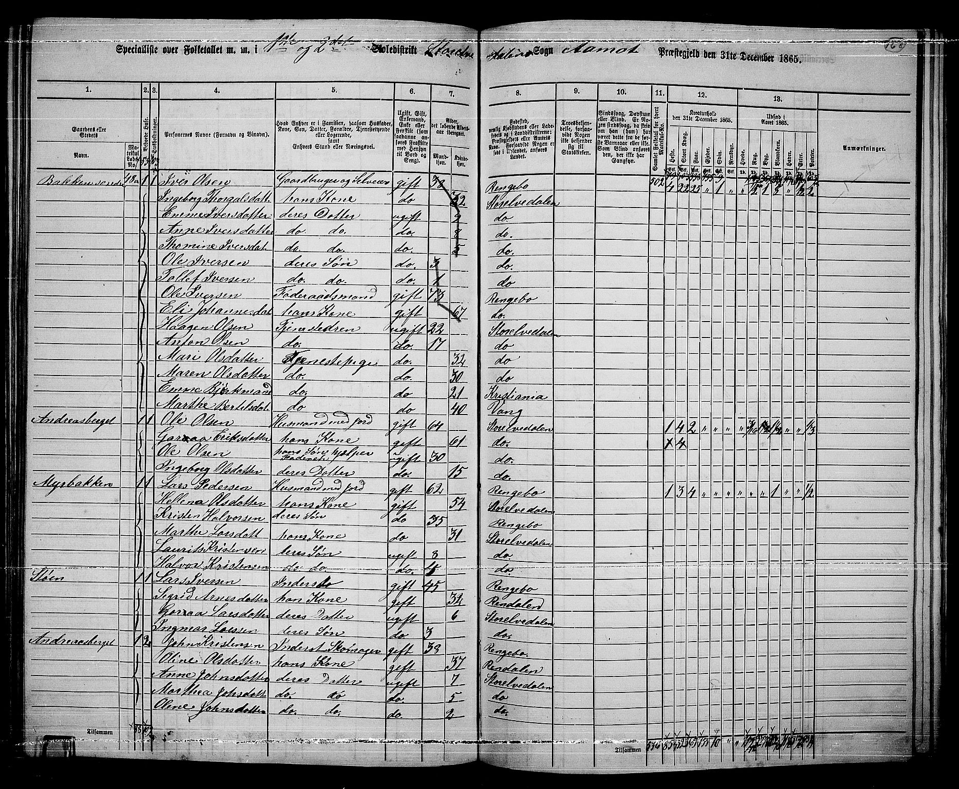 RA, 1865 census for Åmot, 1865, p. 147