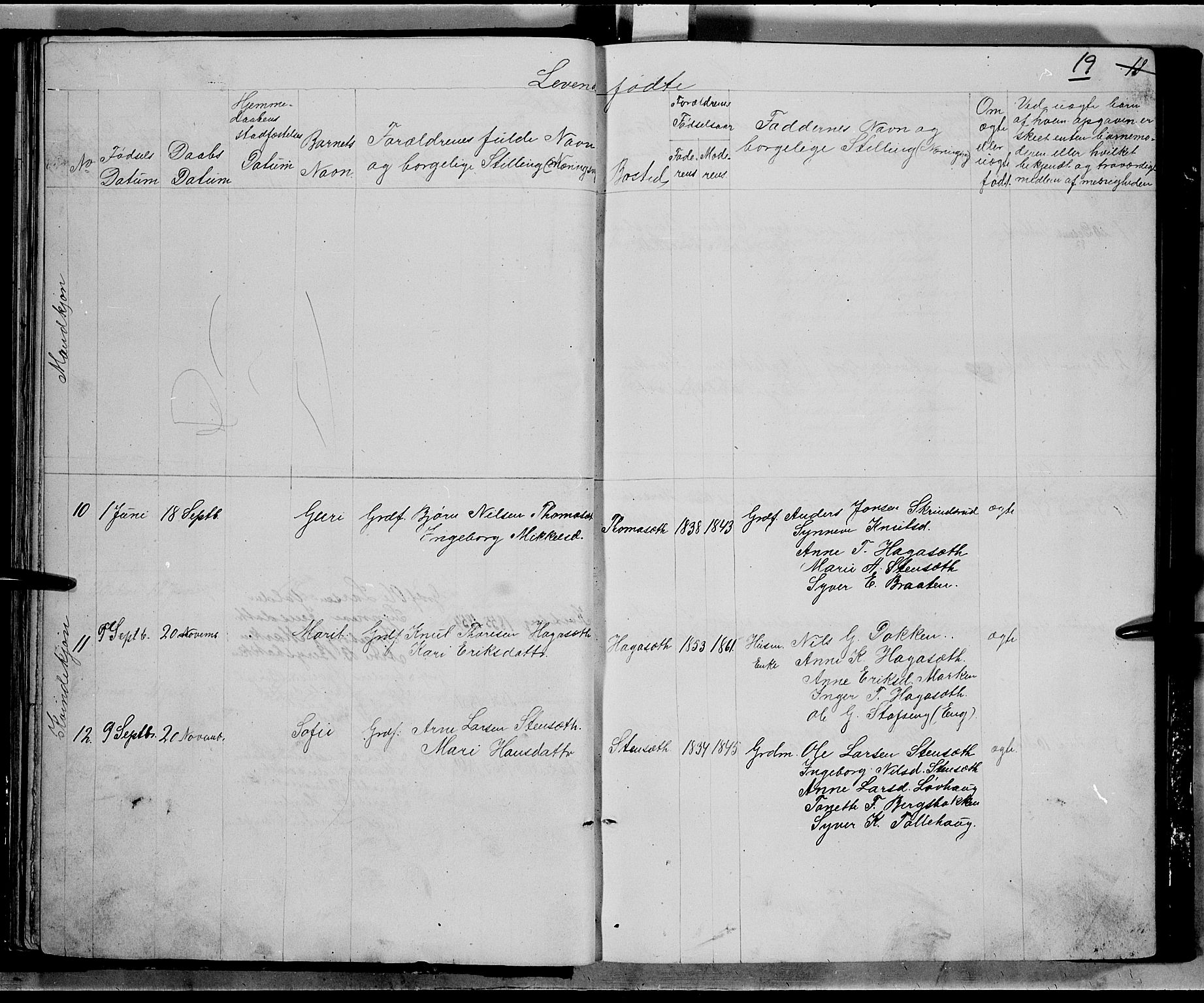 Nord-Aurdal prestekontor, SAH/PREST-132/H/Ha/Hab/L0005: Parish register (copy) no. 5, 1876-1895, p. 19