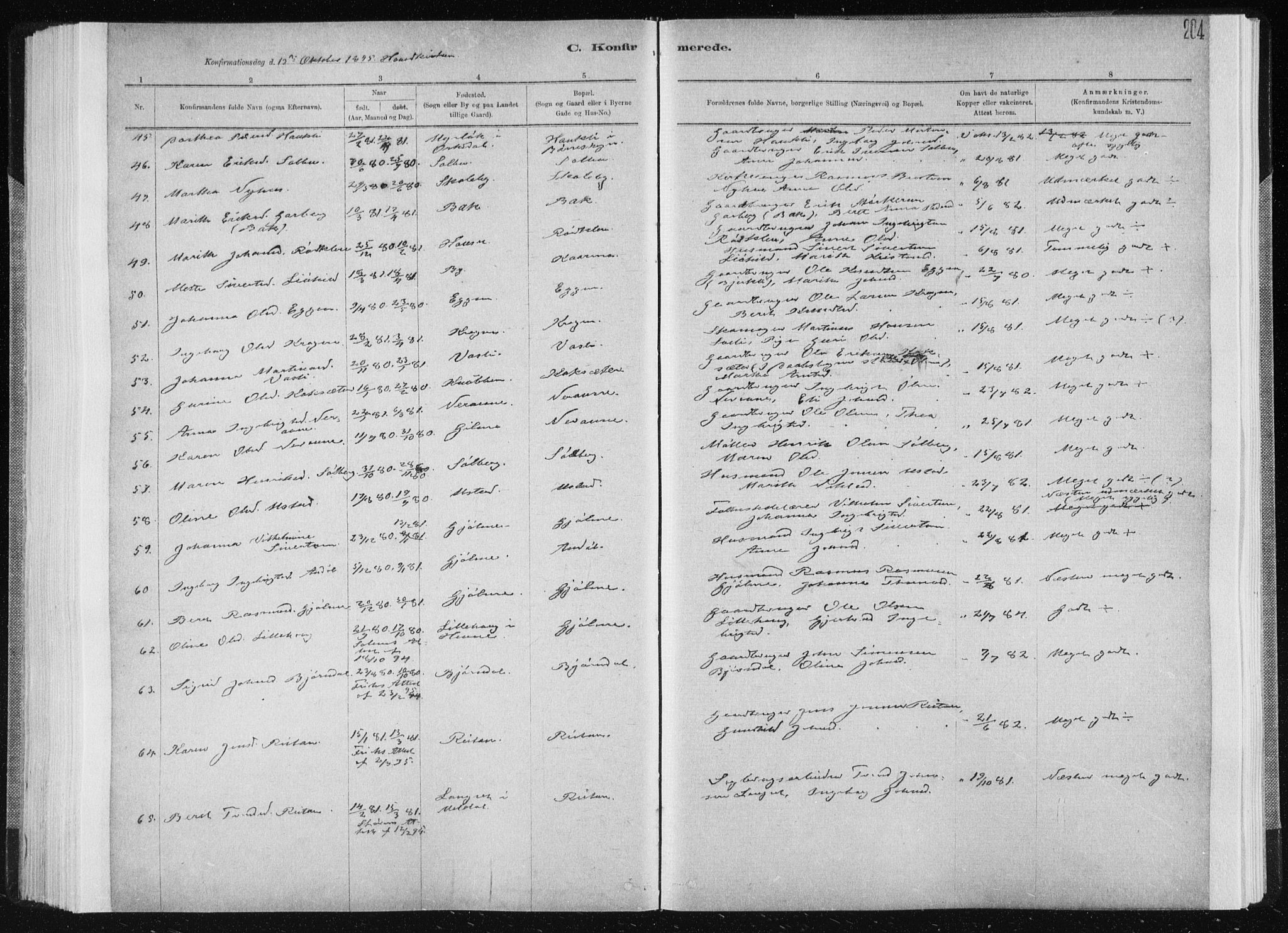 Ministerialprotokoller, klokkerbøker og fødselsregistre - Sør-Trøndelag, AV/SAT-A-1456/668/L0818: Parish register (copy) no. 668C07, 1885-1898, p. 204