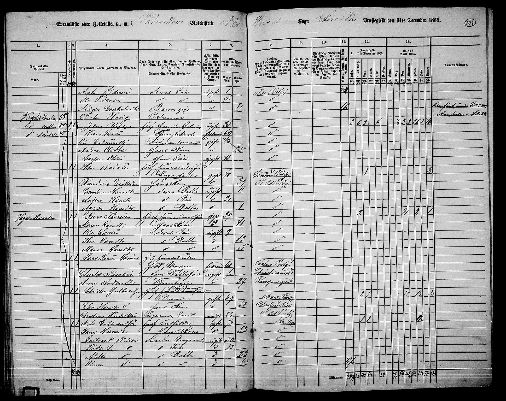 RA, 1865 census for Nes, 1865, p. 95