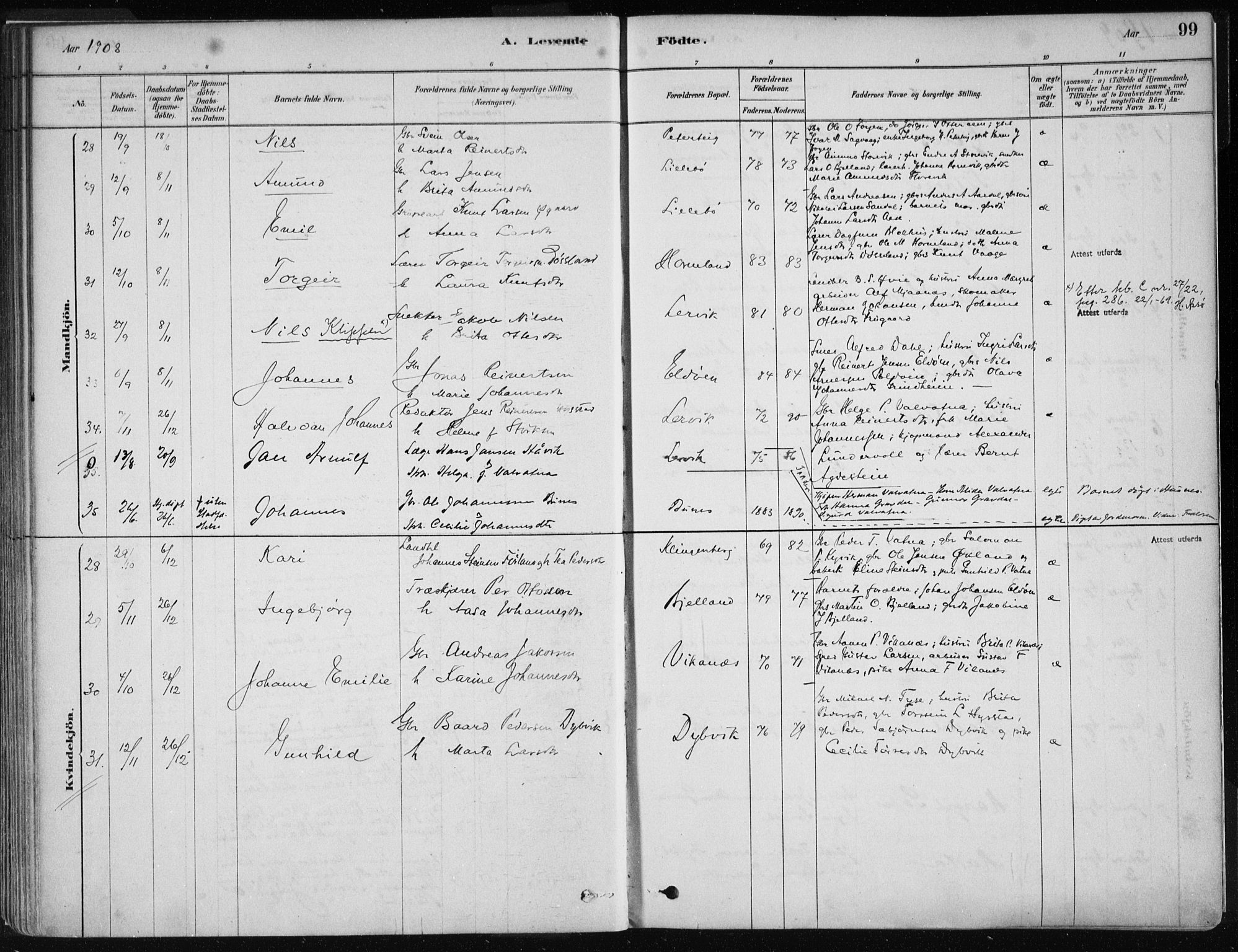 Stord sokneprestembete, AV/SAB-A-78201/H/Haa: Parish register (official) no. B 2, 1878-1913, p. 99