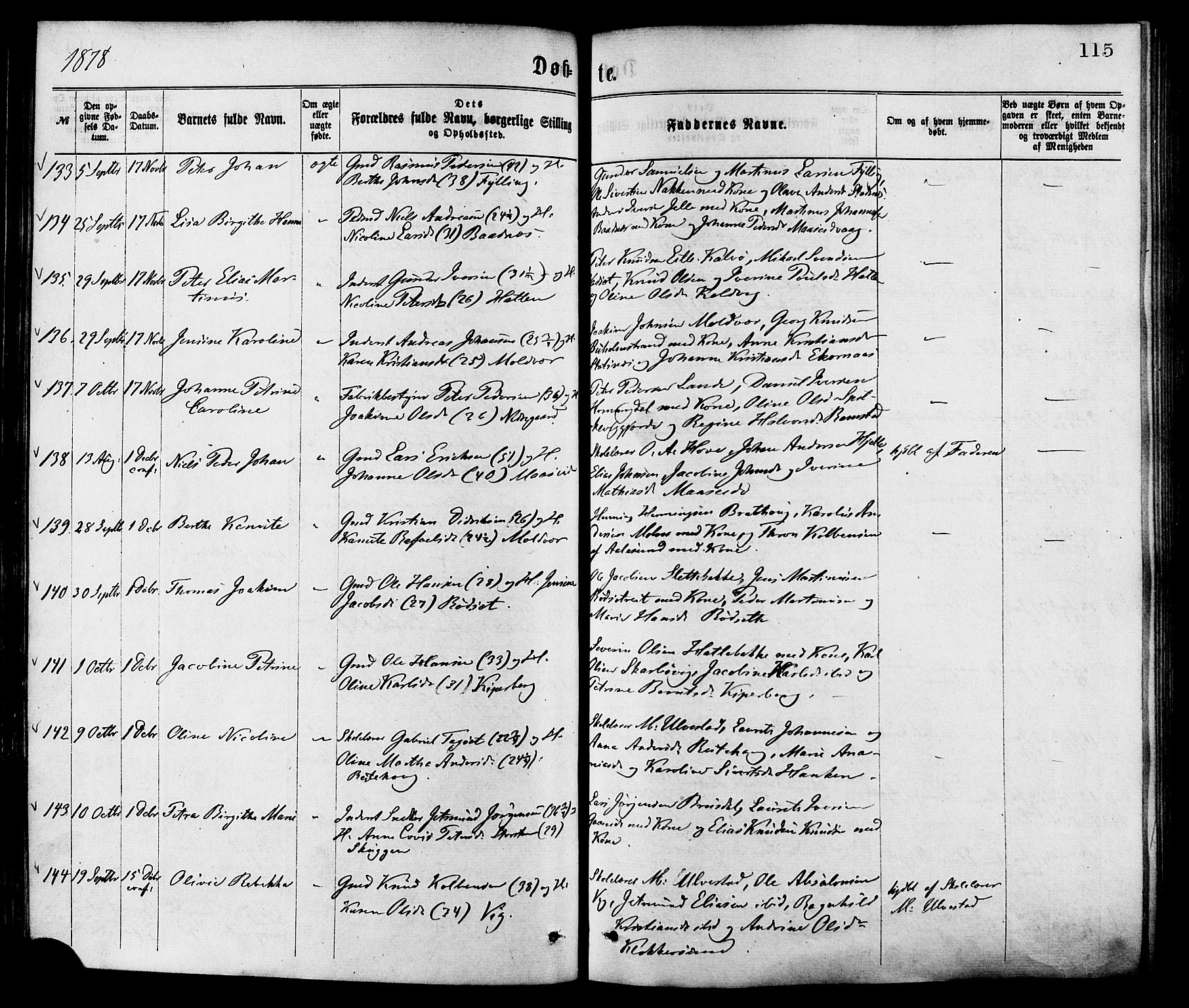 Ministerialprotokoller, klokkerbøker og fødselsregistre - Møre og Romsdal, AV/SAT-A-1454/528/L0400: Parish register (official) no. 528A11, 1871-1879, p. 115