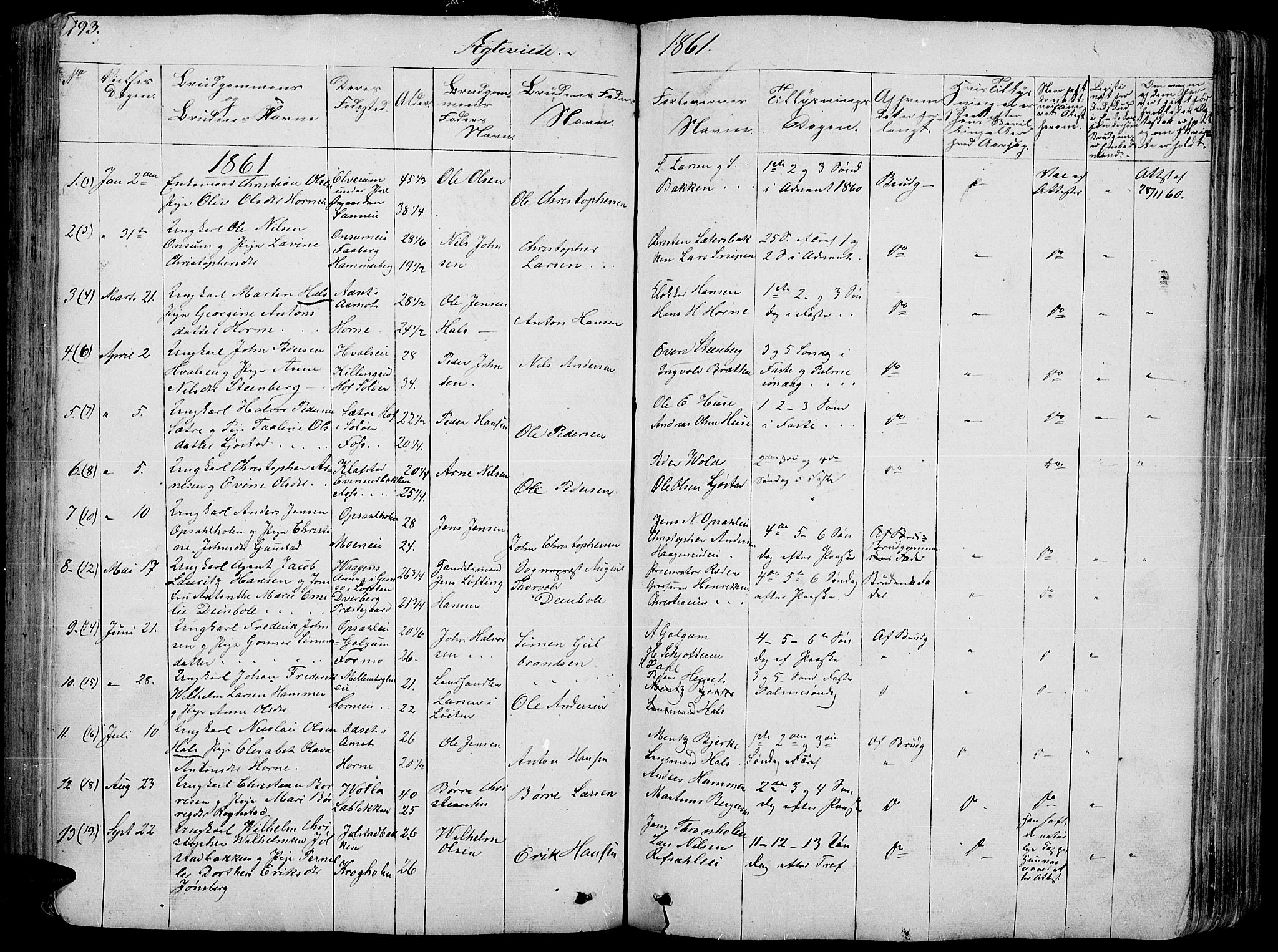 Romedal prestekontor, SAH/PREST-004/L/L0009: Parish register (copy) no. 9, 1846-1866, p. 193