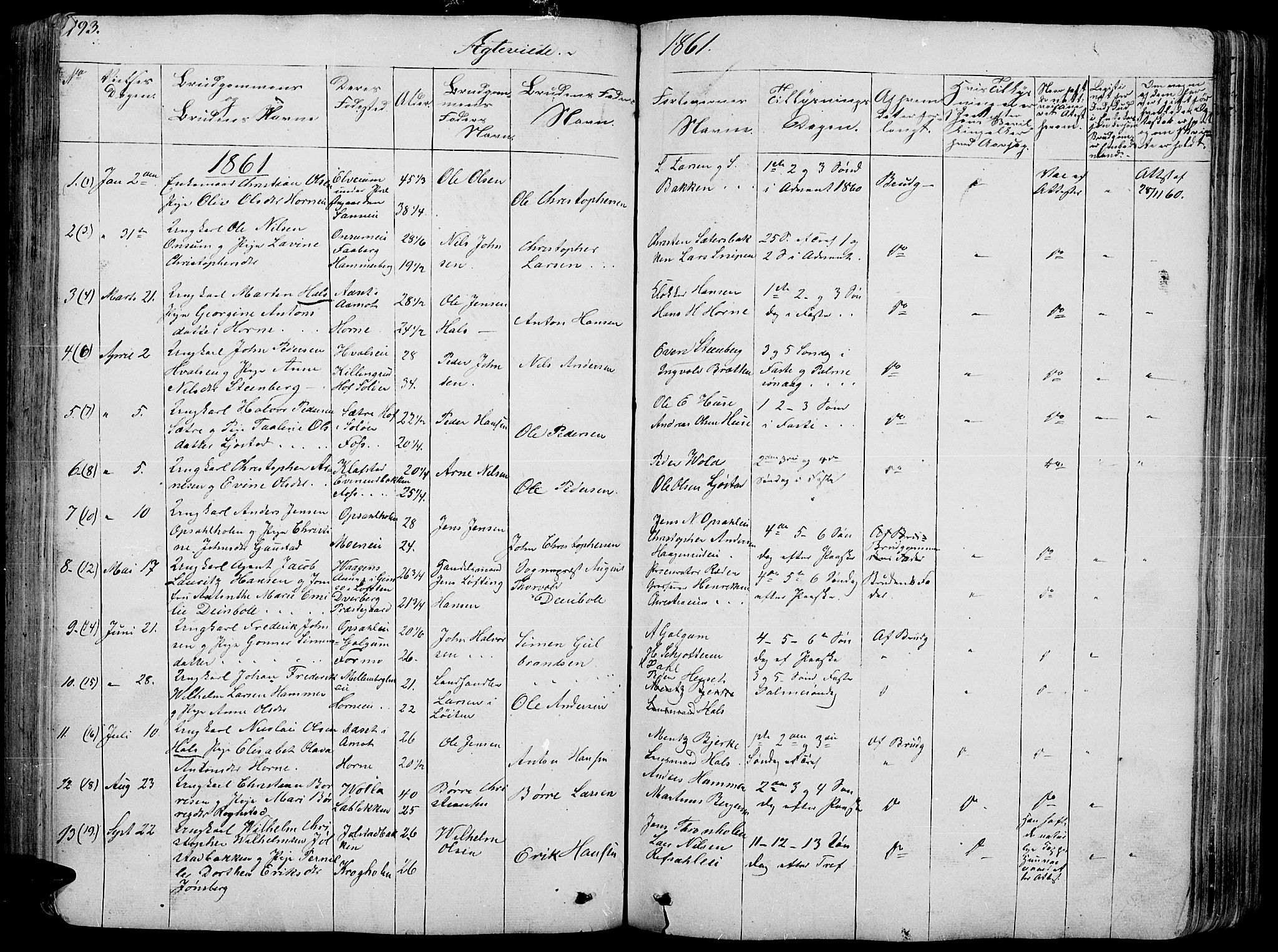 Romedal prestekontor, AV/SAH-PREST-004/L/L0009: Parish register (copy) no. 9, 1846-1866, p. 193