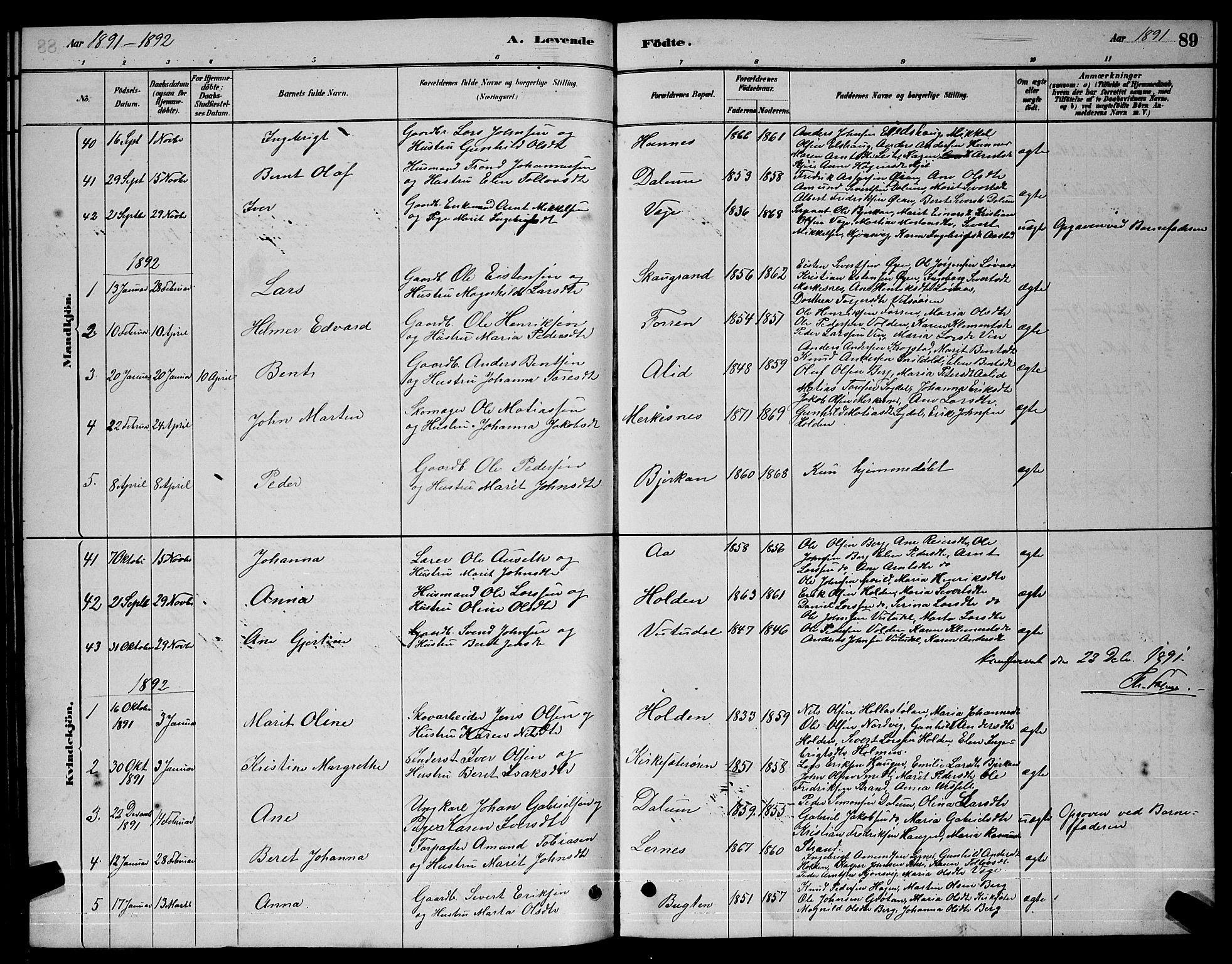 Ministerialprotokoller, klokkerbøker og fødselsregistre - Sør-Trøndelag, SAT/A-1456/630/L0504: Parish register (copy) no. 630C02, 1879-1898, p. 89