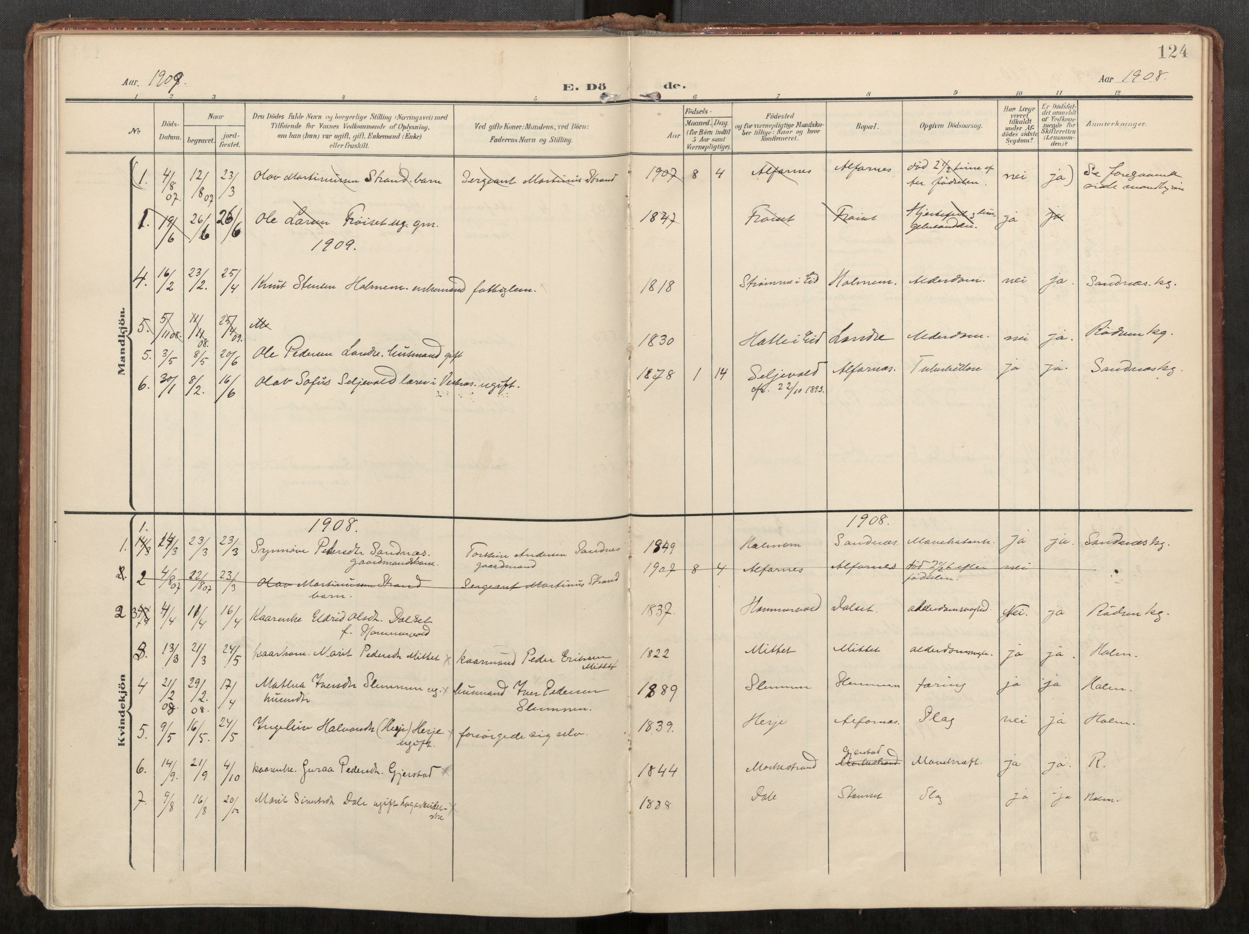 Ministerialprotokoller, klokkerbøker og fødselsregistre - Møre og Romsdal, AV/SAT-A-1454/549/L0618: Parish register (official) no. 549A01, 1906-1927, p. 124