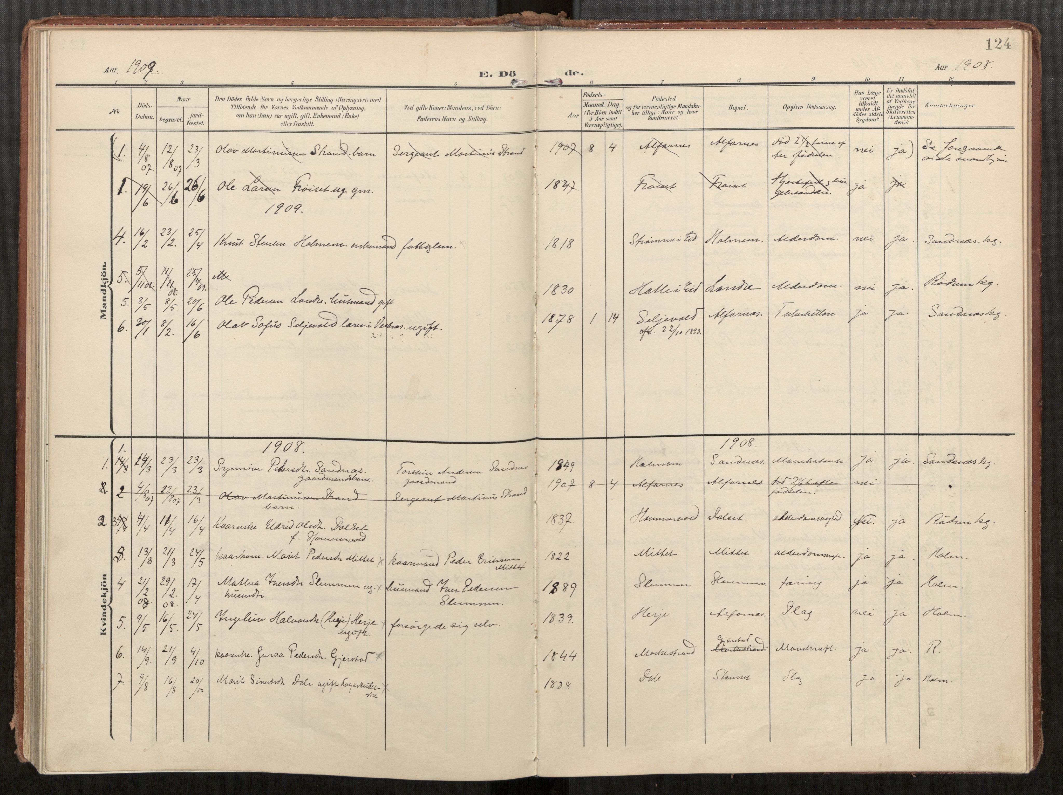 Ministerialprotokoller, klokkerbøker og fødselsregistre - Møre og Romsdal, SAT/A-1454/549/L0618: Parish register (official) no. 549A01, 1906-1927, p. 124