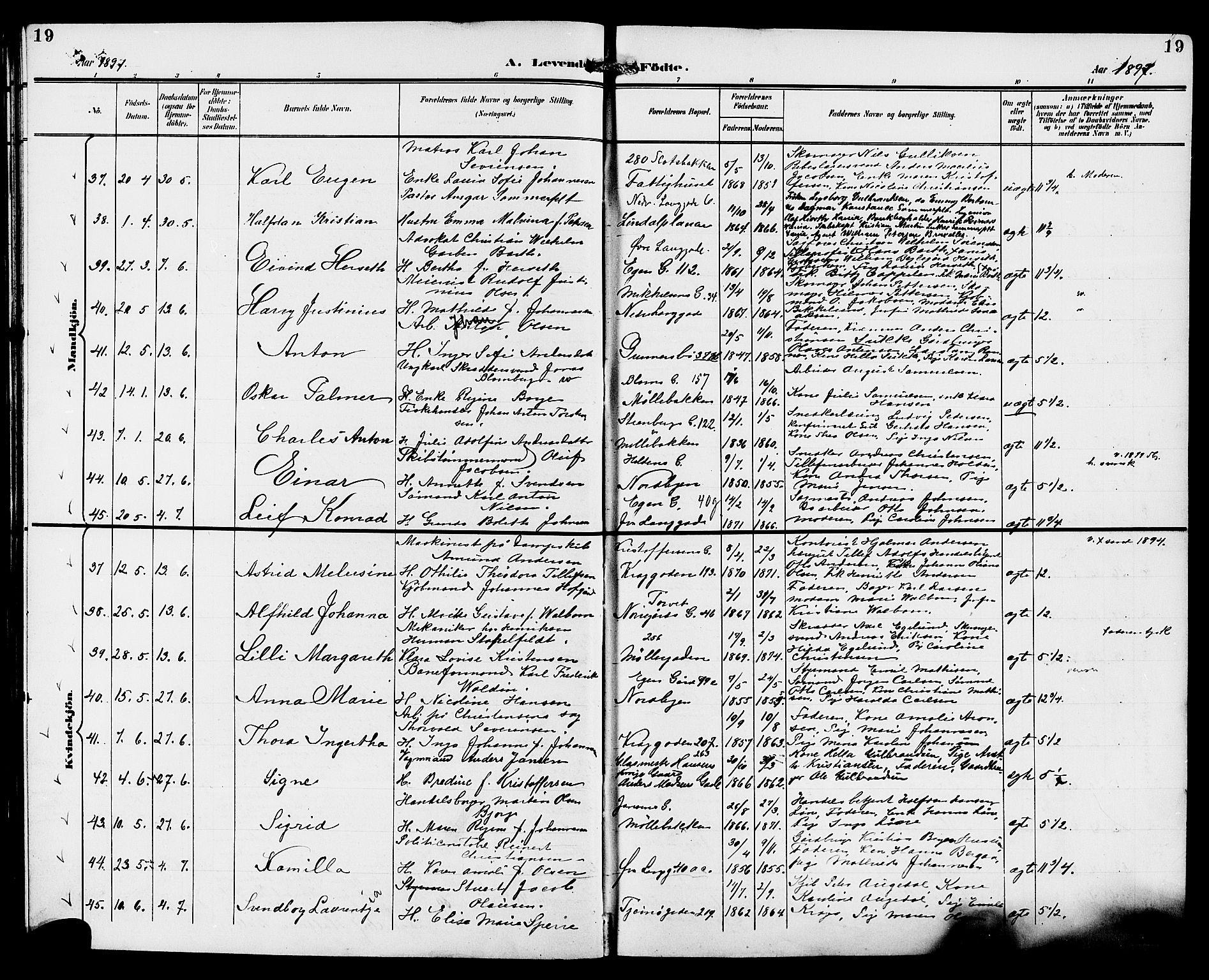 Tønsberg kirkebøker, AV/SAKO-A-330/G/Ga/L0007: Parish register (copy) no. 7, 1896-1904, p. 19