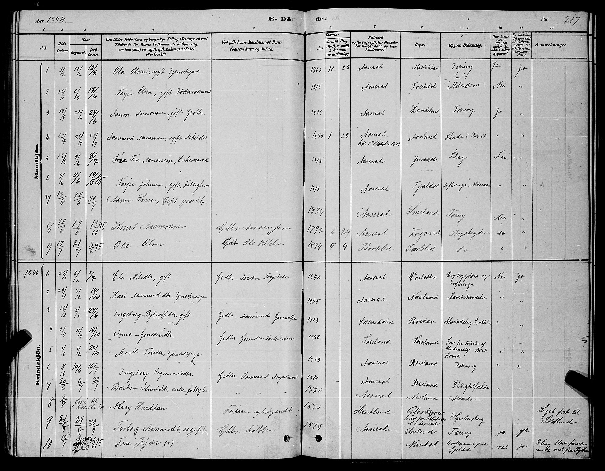 Åseral sokneprestkontor, AV/SAK-1111-0051/F/Fb/L0002: Parish register (copy) no. B 2, 1878-1899, p. 217