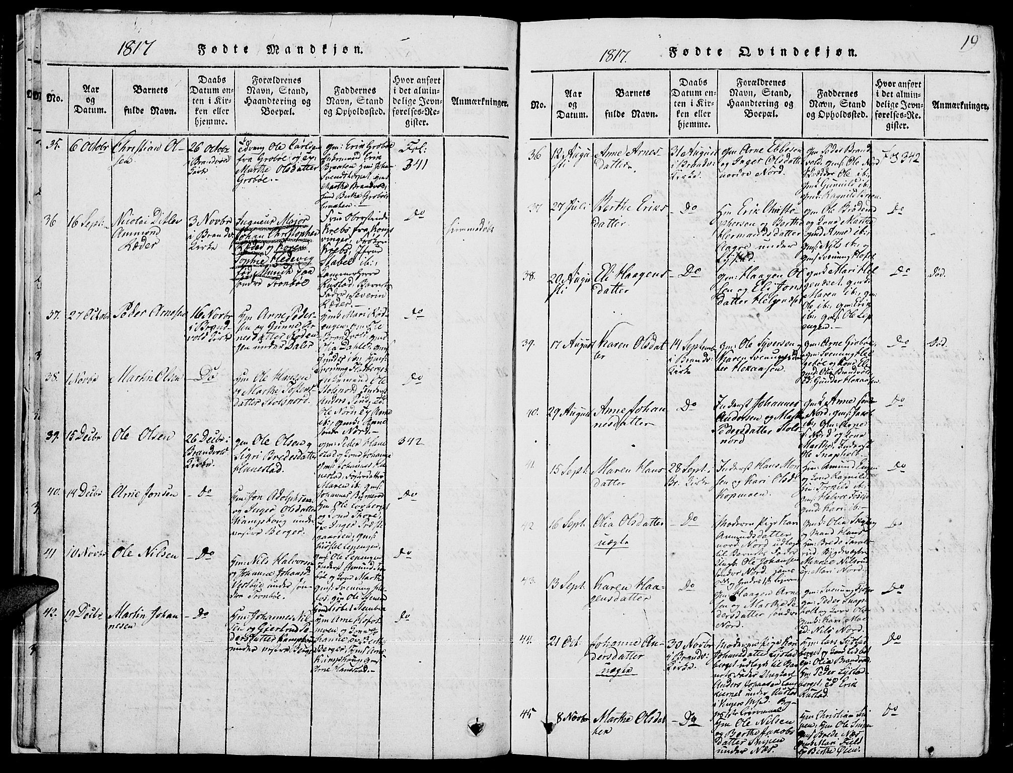 Grue prestekontor, AV/SAH-PREST-036/H/Ha/Hab/L0001: Parish register (copy) no. 1, 1814-1841, p. 19