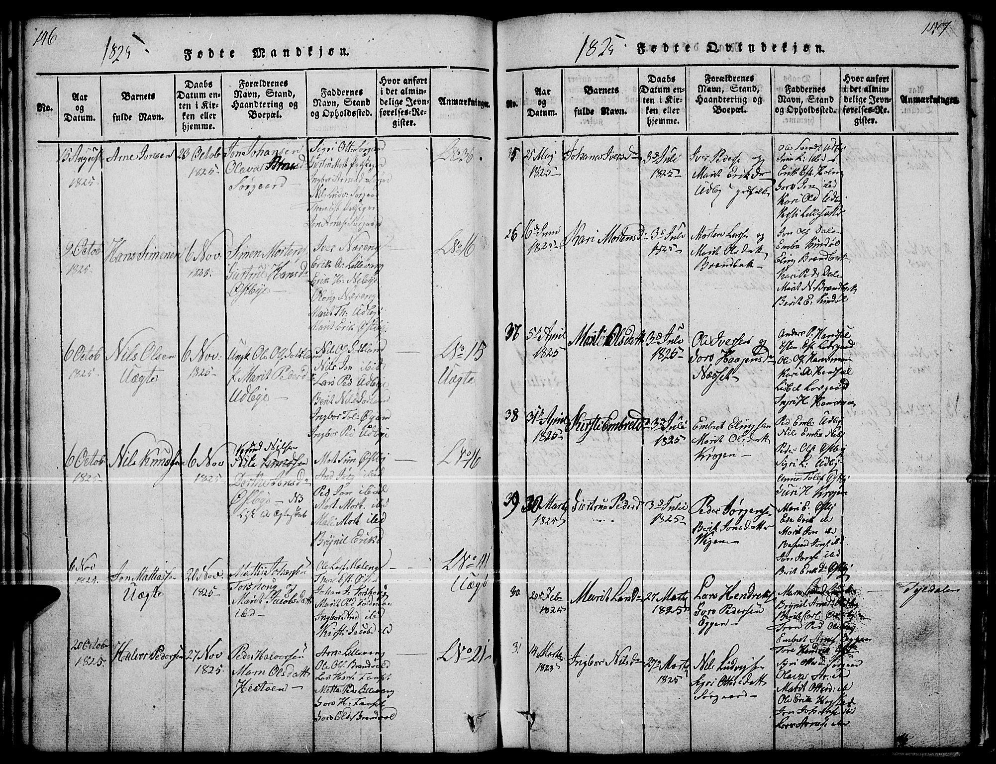 Tynset prestekontor, SAH/PREST-058/H/Ha/Haa/L0018: Parish register (official) no. 18, 1815-1829, p. 146-147