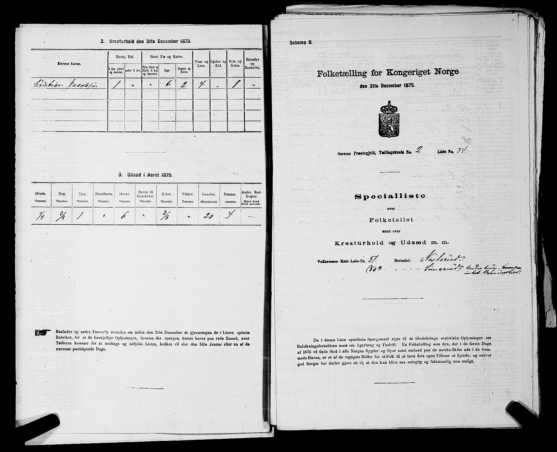 RA, 1875 census for 0226P Sørum, 1875, p. 211