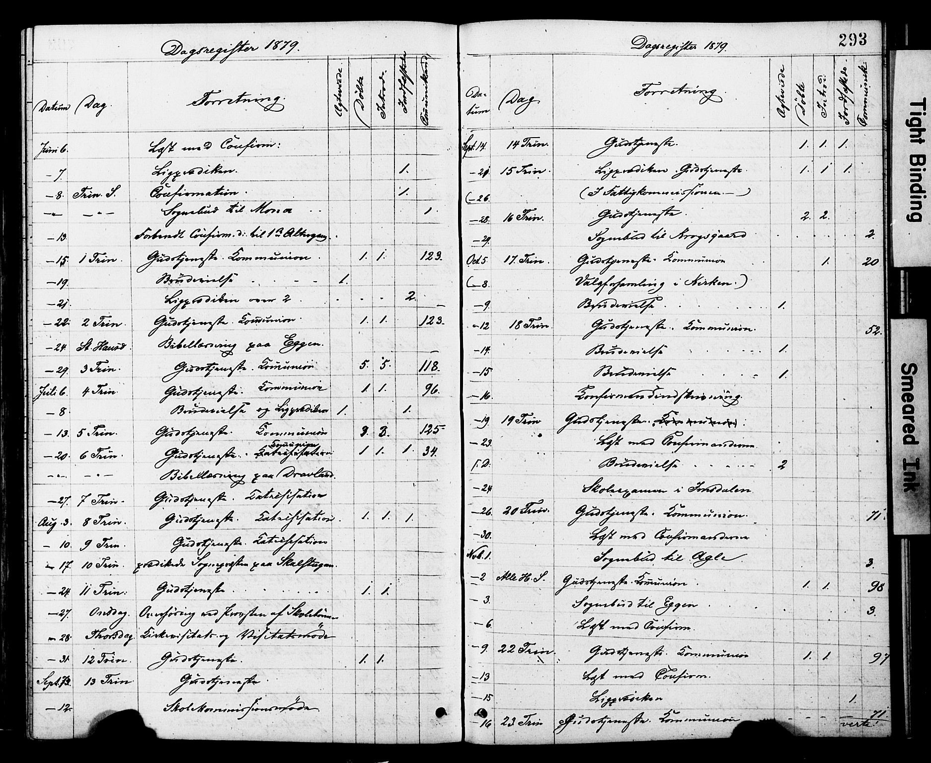 Ministerialprotokoller, klokkerbøker og fødselsregistre - Nord-Trøndelag, AV/SAT-A-1458/749/L0473: Parish register (official) no. 749A07, 1873-1887, p. 293