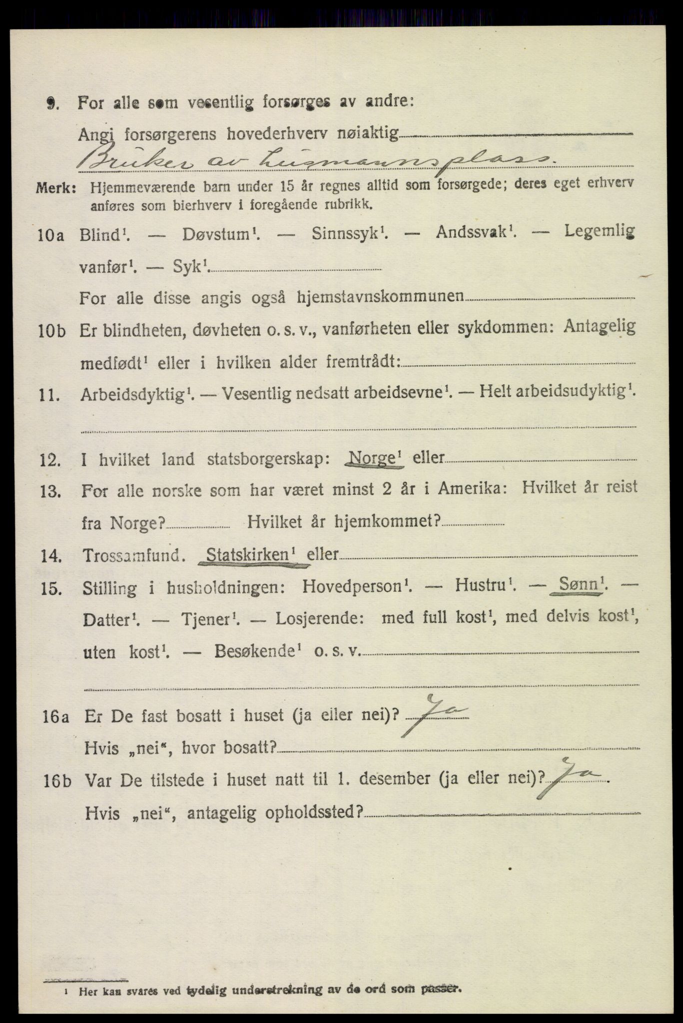 SAH, 1920 census for Ringsaker, 1920, p. 13311