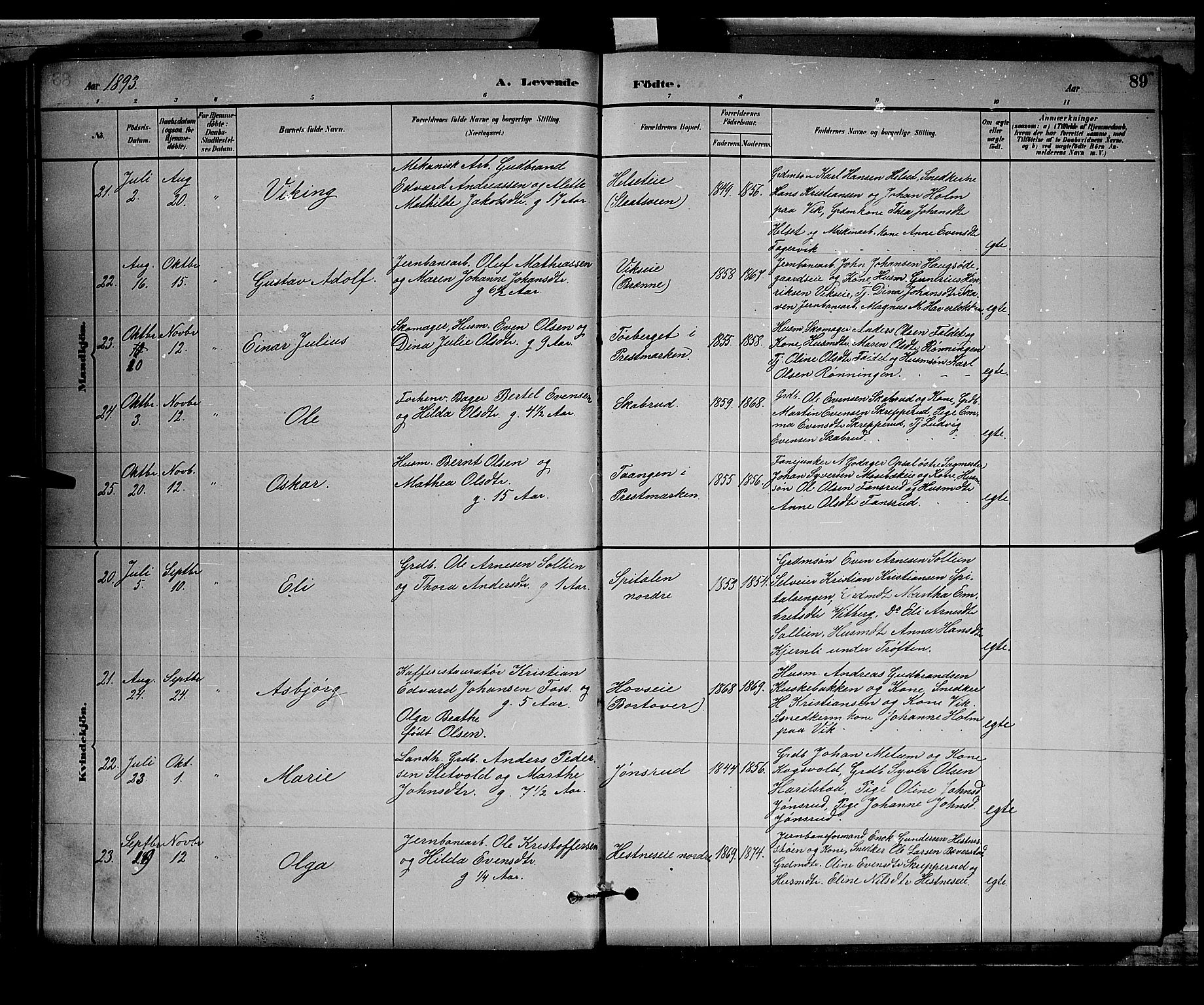 Stange prestekontor, AV/SAH-PREST-002/L/L0008: Parish register (copy) no. 8, 1882-1895, p. 89