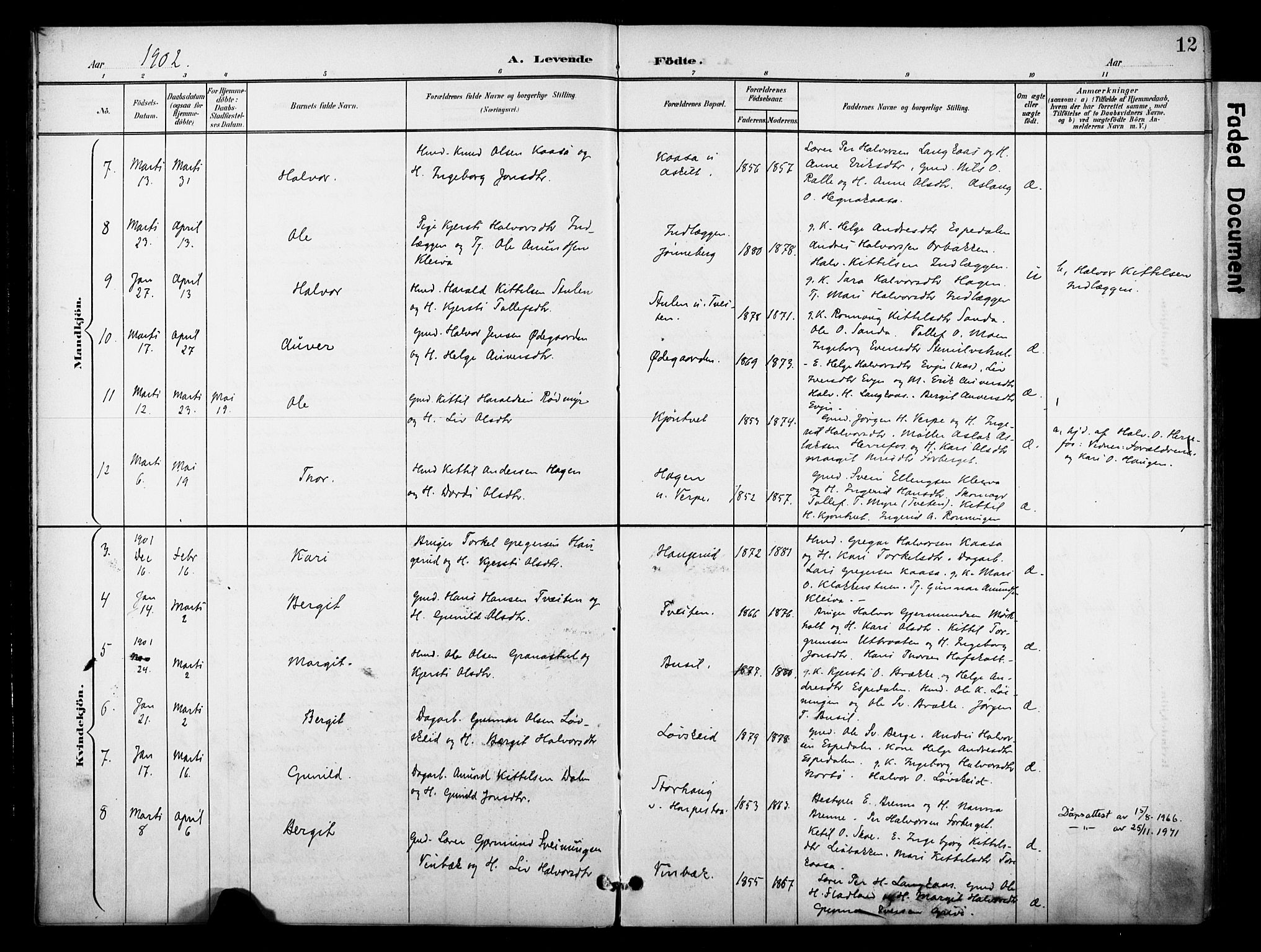 Bø kirkebøker, SAKO/A-257/F/Fa/L0012: Parish register (official) no. 12, 1900-1908, p. 12