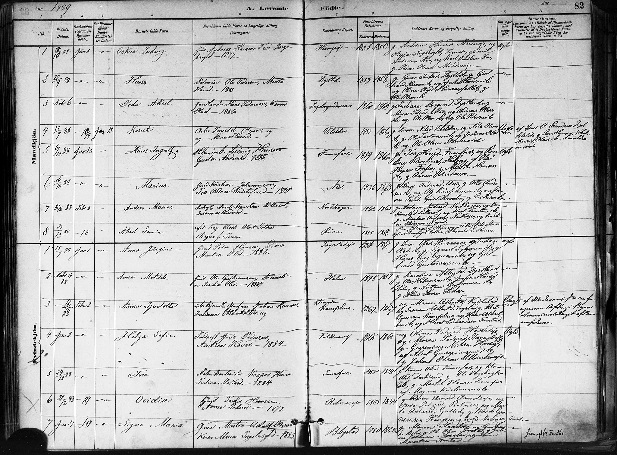 Nes prestekontor Kirkebøker, AV/SAO-A-10410/F/Fa/L0010: Parish register (official) no. I 10, 1883-1898, p. 82