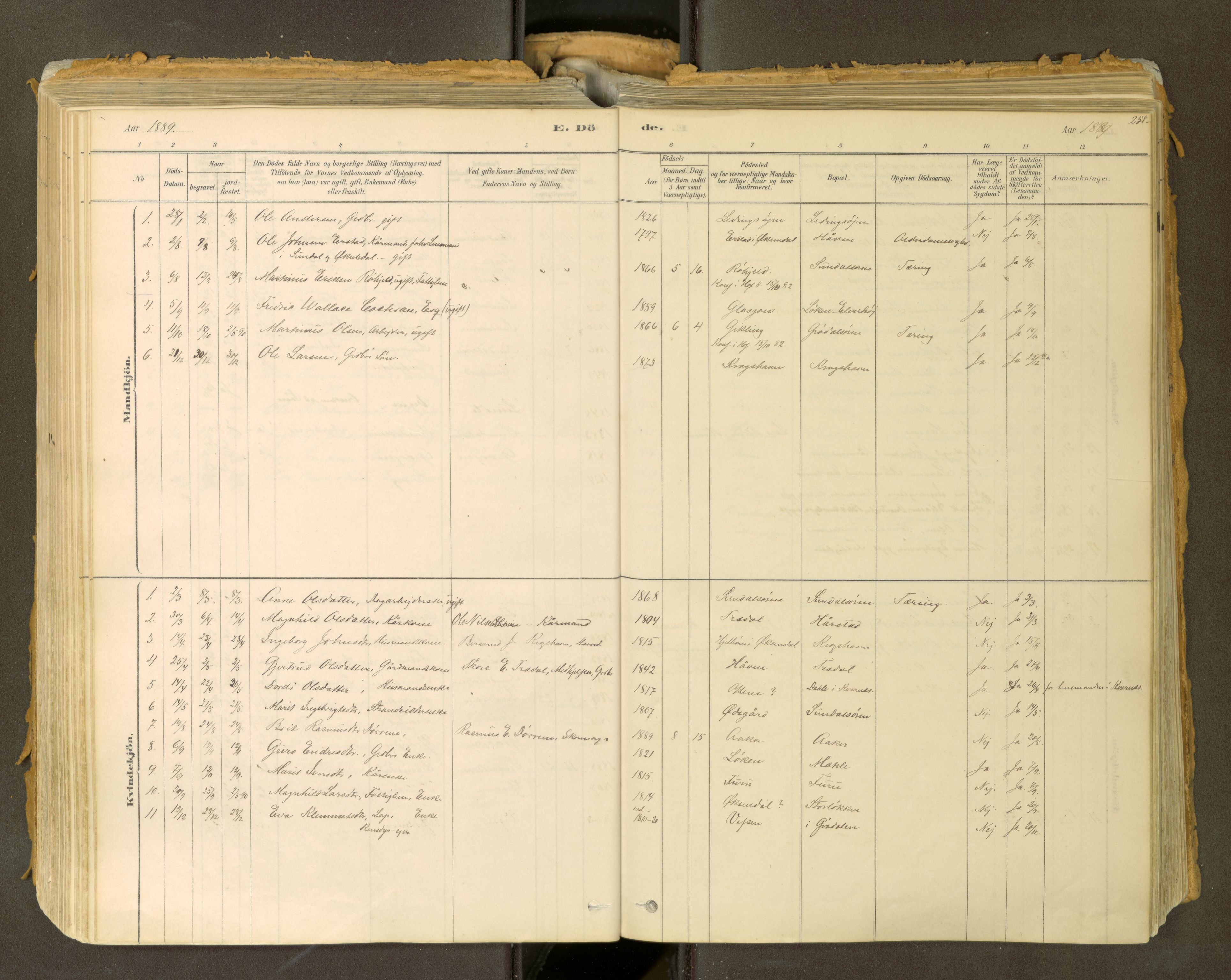 Sunndal sokneprestkontor, SAT/A-1085/1/I/I1/I1a: Parish register (official) no. 2, 1877-1914, p. 251