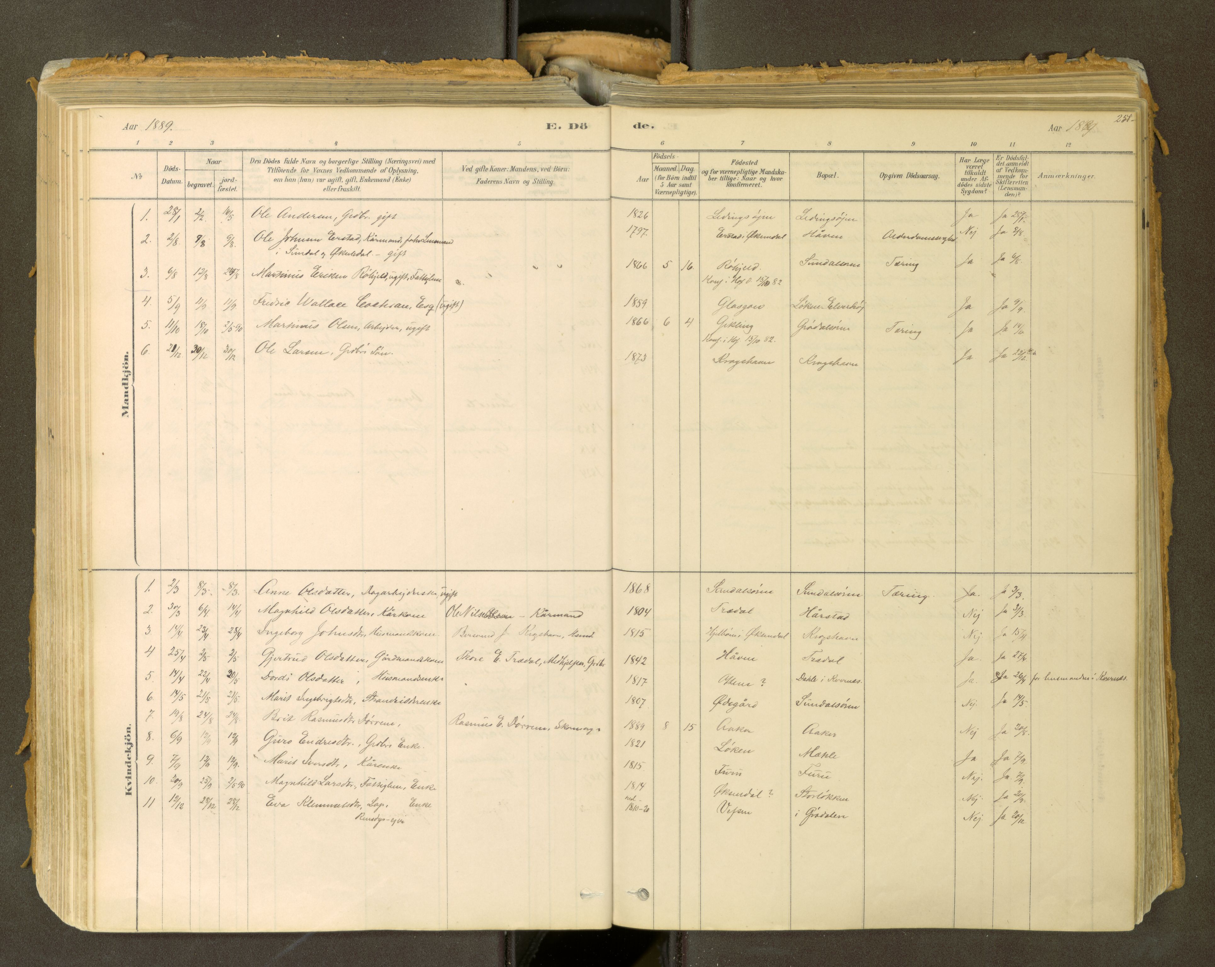 Sunndal sokneprestkontor, AV/SAT-A-1085/1/I/I1/I1a: Parish register (official) no. 2, 1877-1914, p. 251