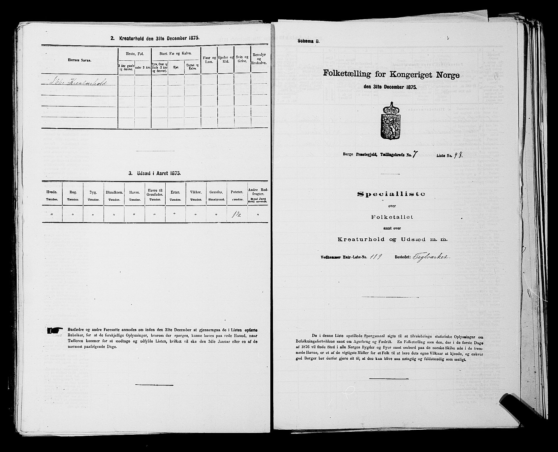 RA, 1875 census for 0113P Borge, 1875, p. 1097