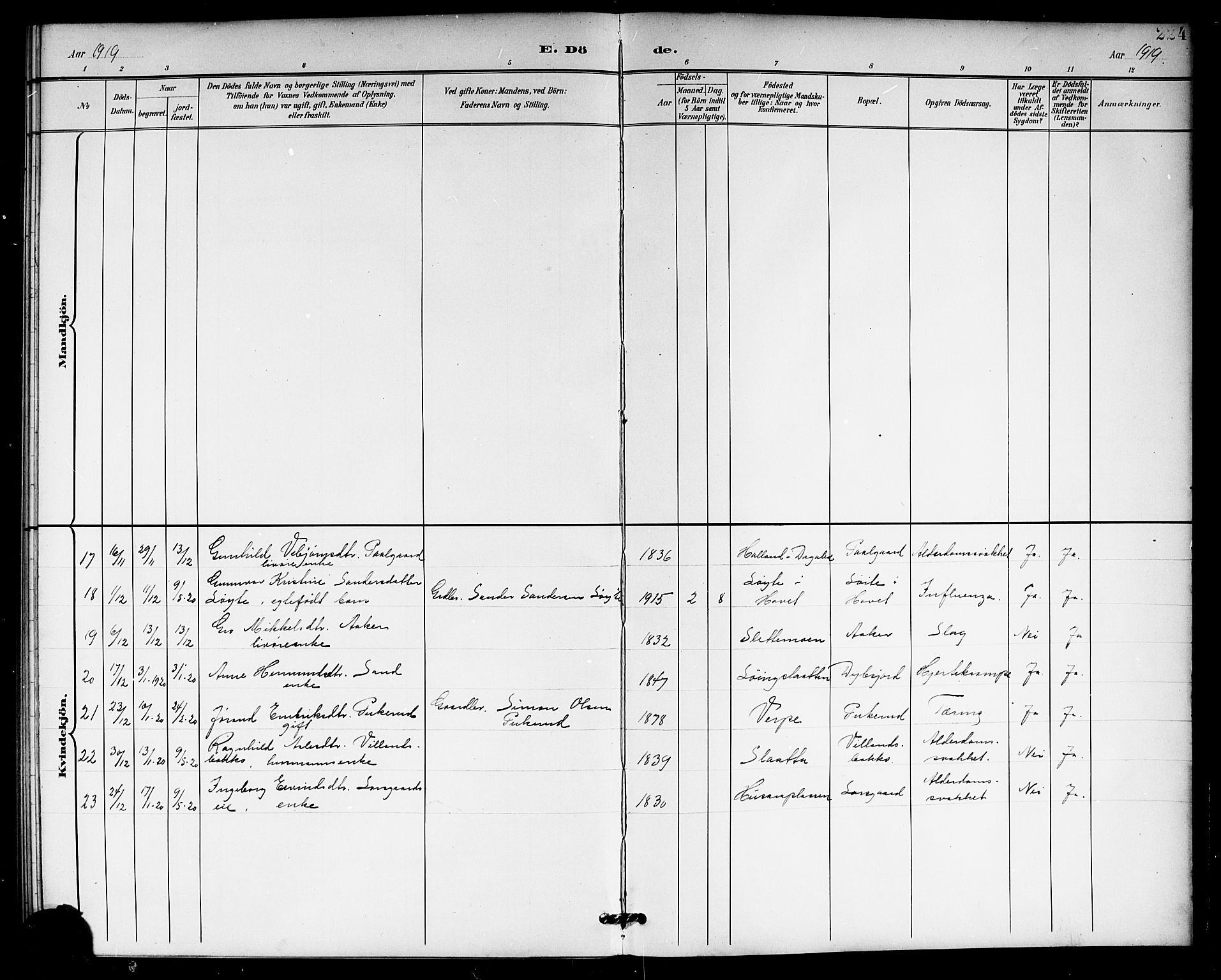 Hol kirkebøker, AV/SAKO-A-227/G/Ga/L0001: Parish register (copy) no. I 1, 1900-1919, p. 224