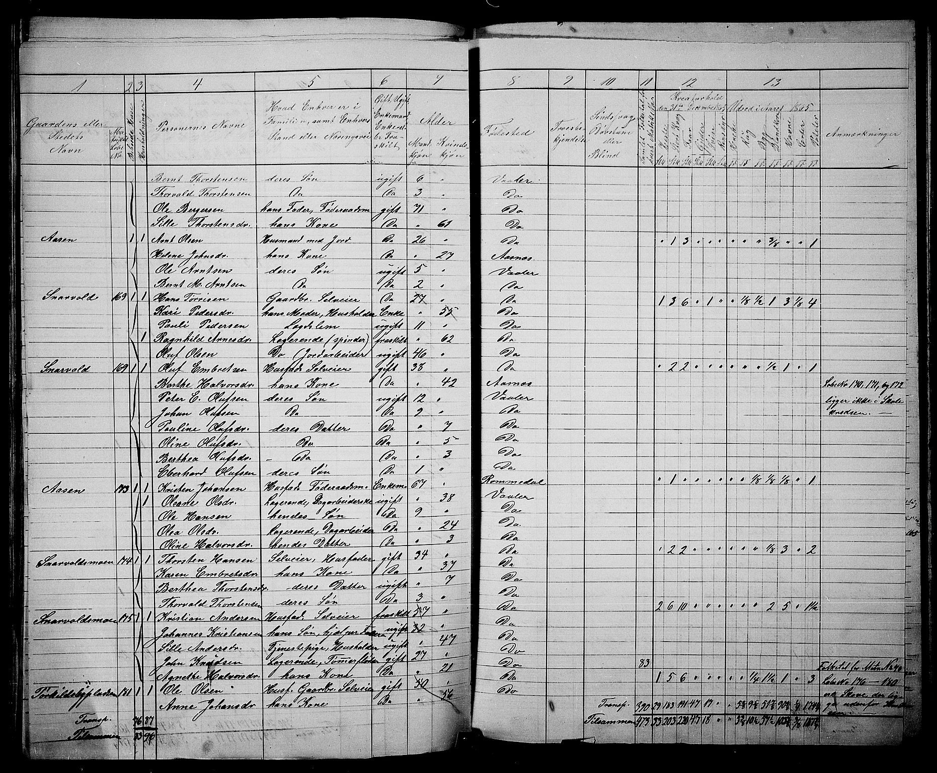 RA, 1865 census for Våler, 1865, p. 92