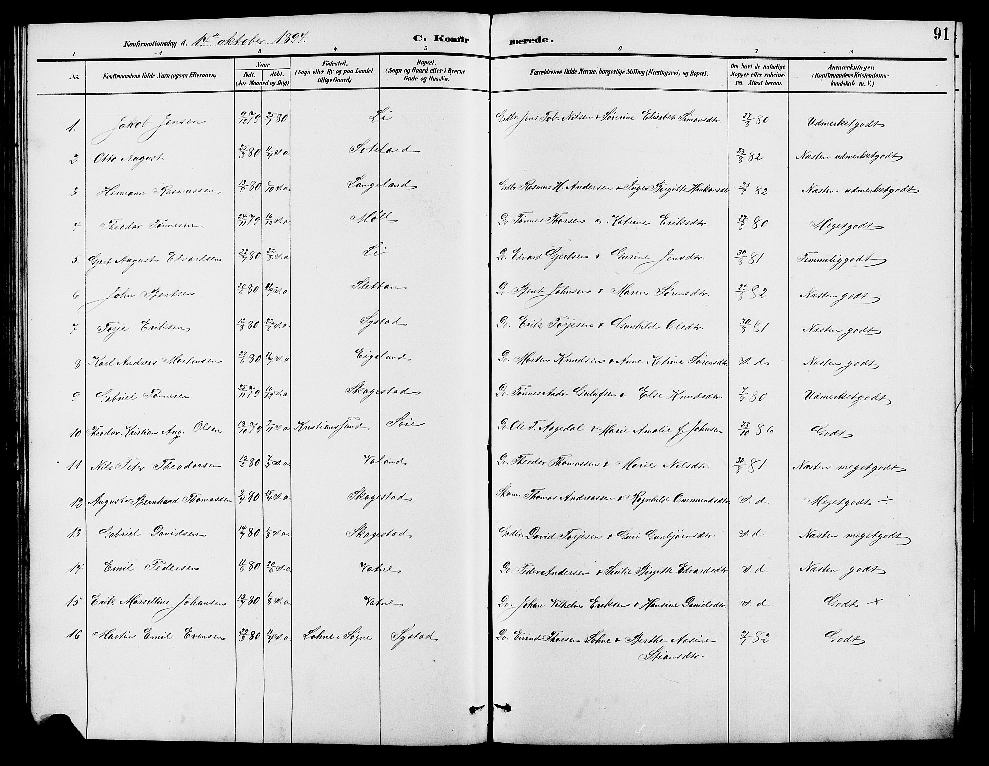 Holum sokneprestkontor, SAK/1111-0022/F/Fb/Fba/L0005: Parish register (copy) no. B 5, 1891-1909, p. 91