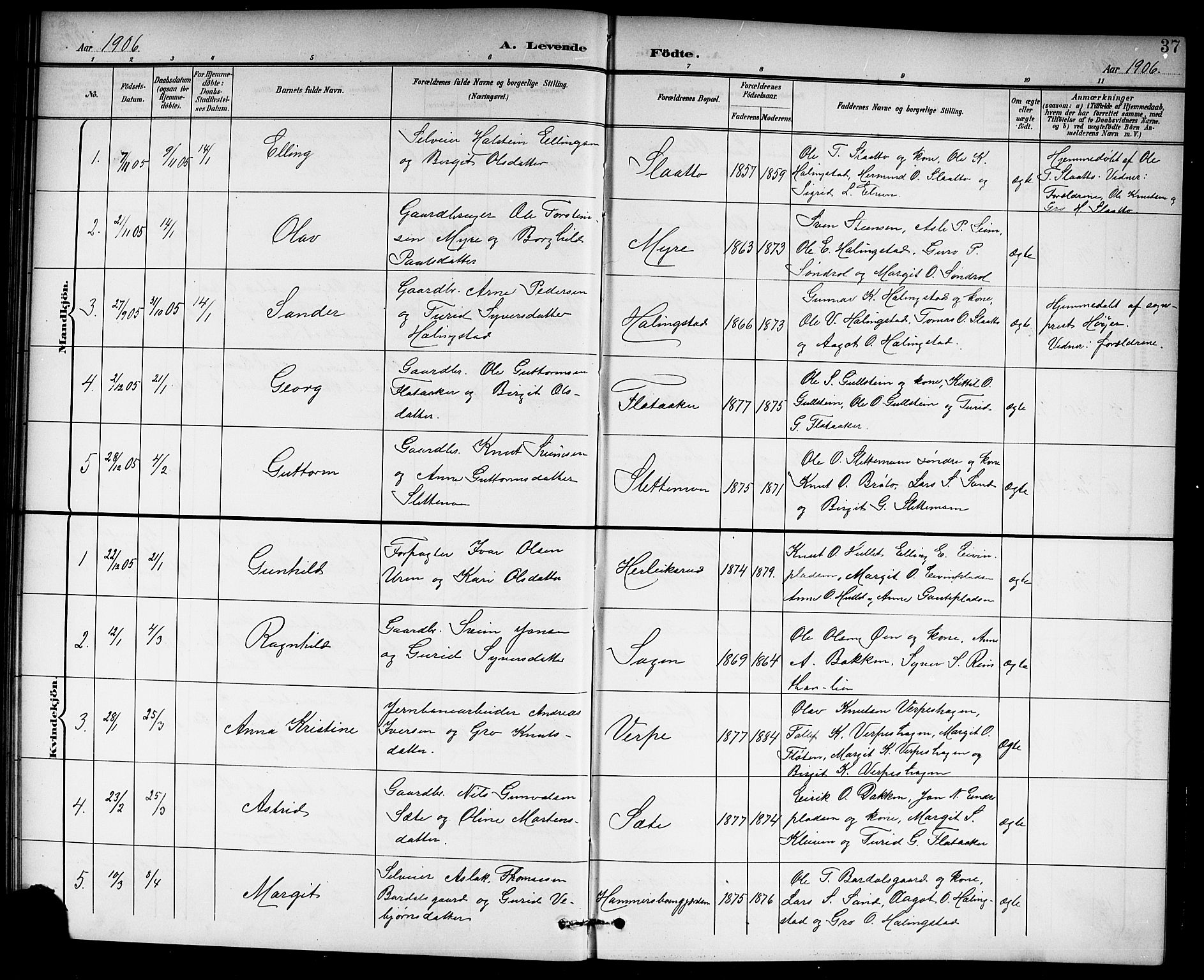 Hol kirkebøker, AV/SAKO-A-227/G/Ga/L0001: Parish register (copy) no. I 1, 1900-1919, p. 37