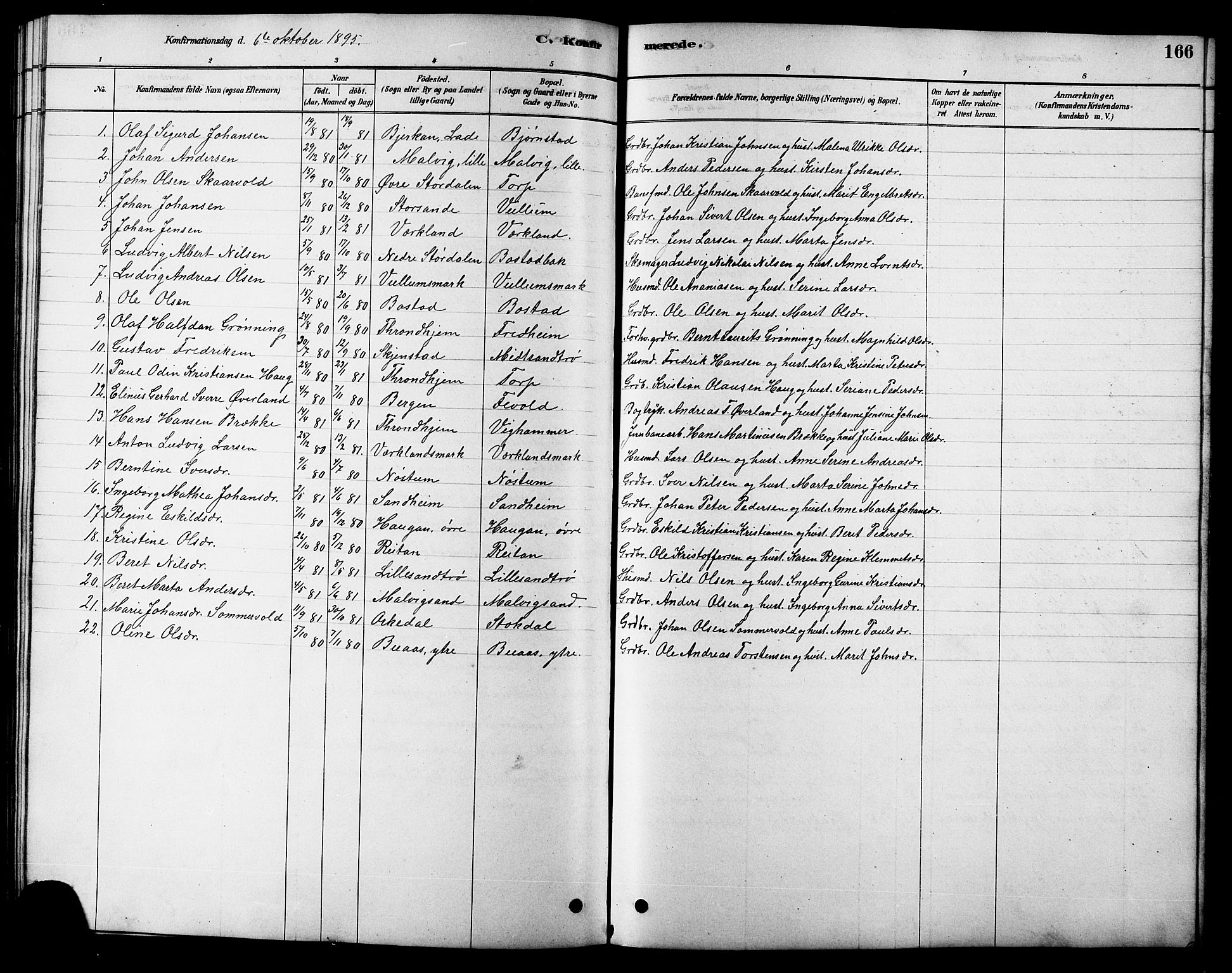 Ministerialprotokoller, klokkerbøker og fødselsregistre - Sør-Trøndelag, AV/SAT-A-1456/616/L0423: Parish register (copy) no. 616C06, 1878-1903, p. 166