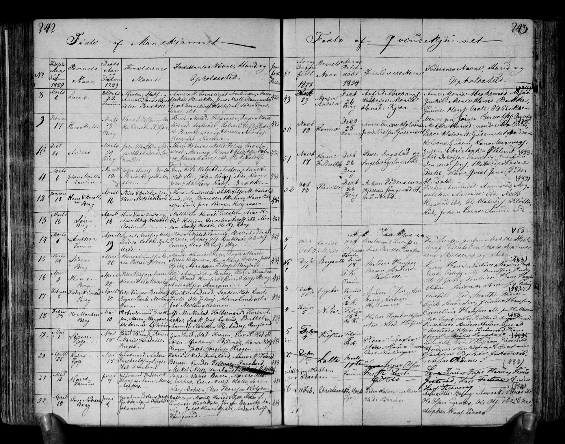 Brunlanes kirkebøker, AV/SAKO-A-342/F/Fa/L0002: Parish register (official) no. I 2, 1802-1834, p. 242-243