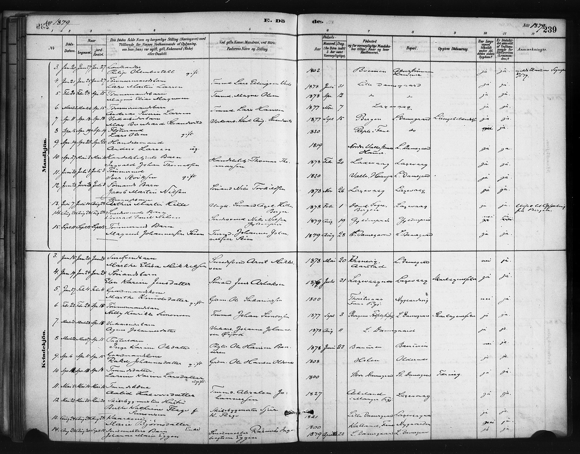 Askøy Sokneprestembete, AV/SAB-A-74101/H/Ha/Haa/Haae/L0002: Parish register (official) no. E 2, 1878-1891, p. 239